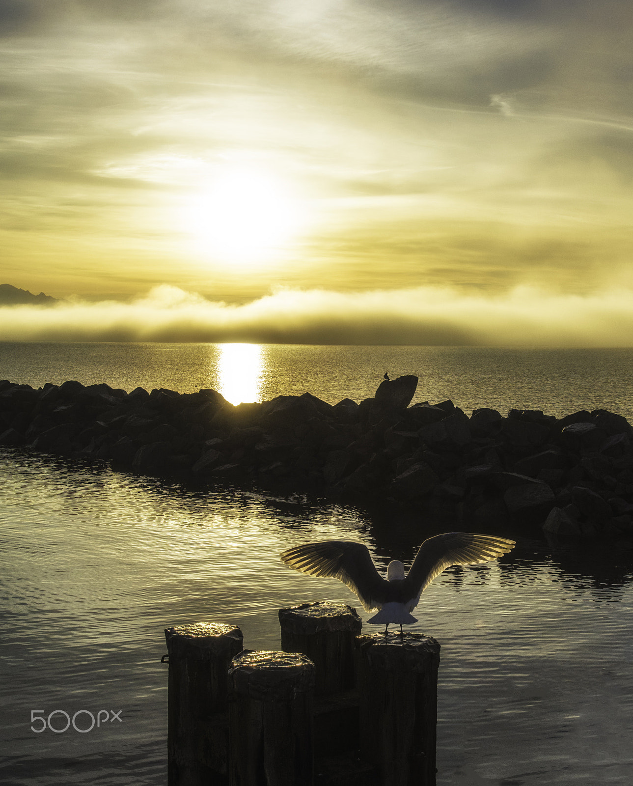 Nikon AF-S Nikkor 14-24mm F2.8G ED sample photo. Morning greeting photography