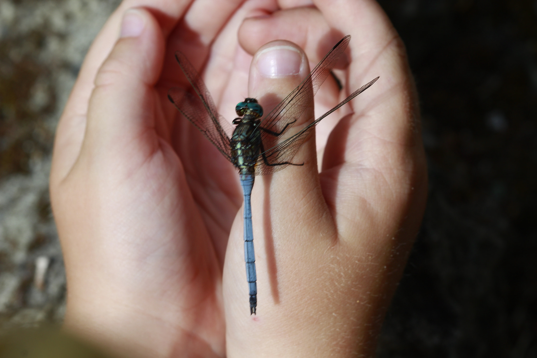 Canon EF 100mm F2.8 Macro USM sample photo. In harmony with nature photography