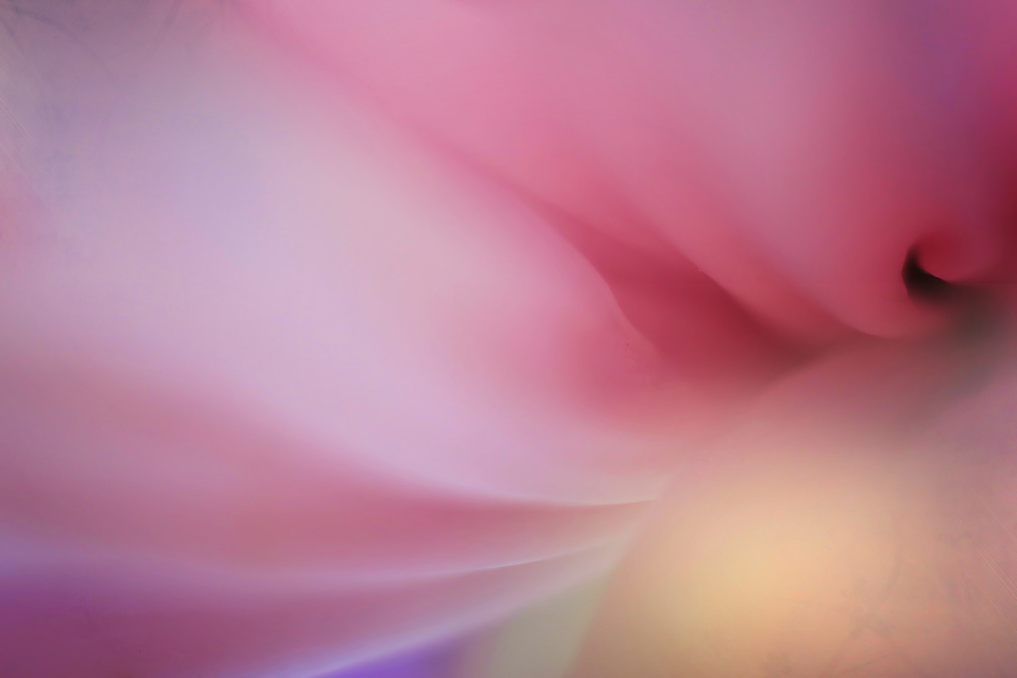Canon EF 50mm F2.5 Macro sample photo. Deep within photography