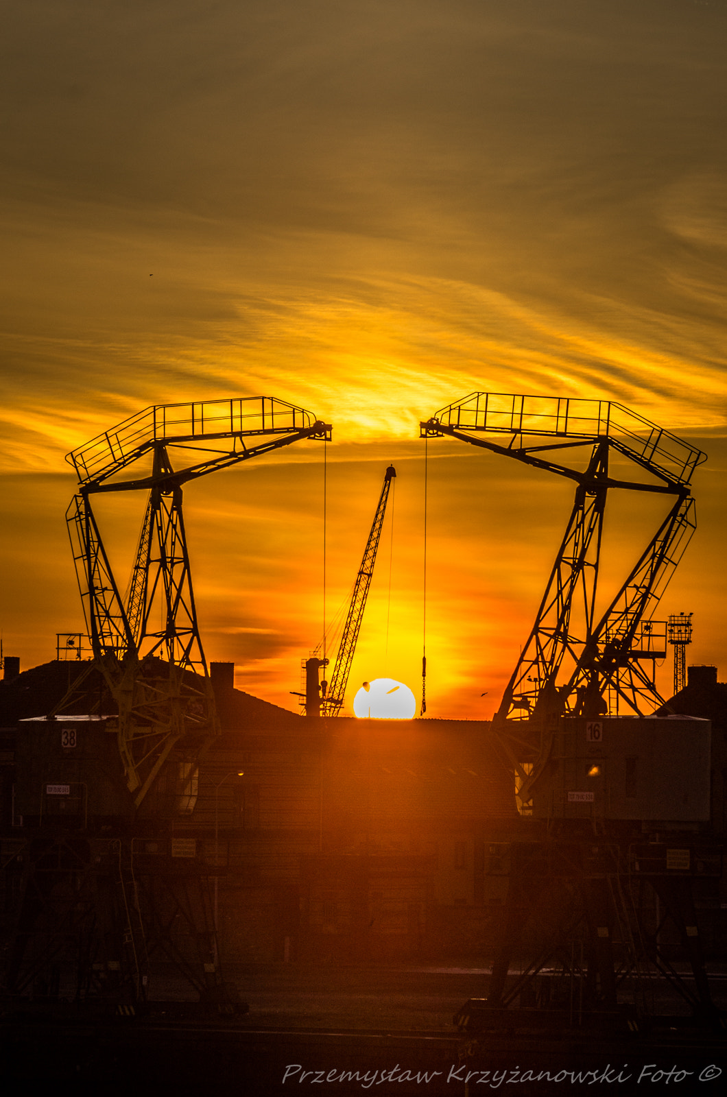Pentax K-5 sample photo. Sunrise crane photography