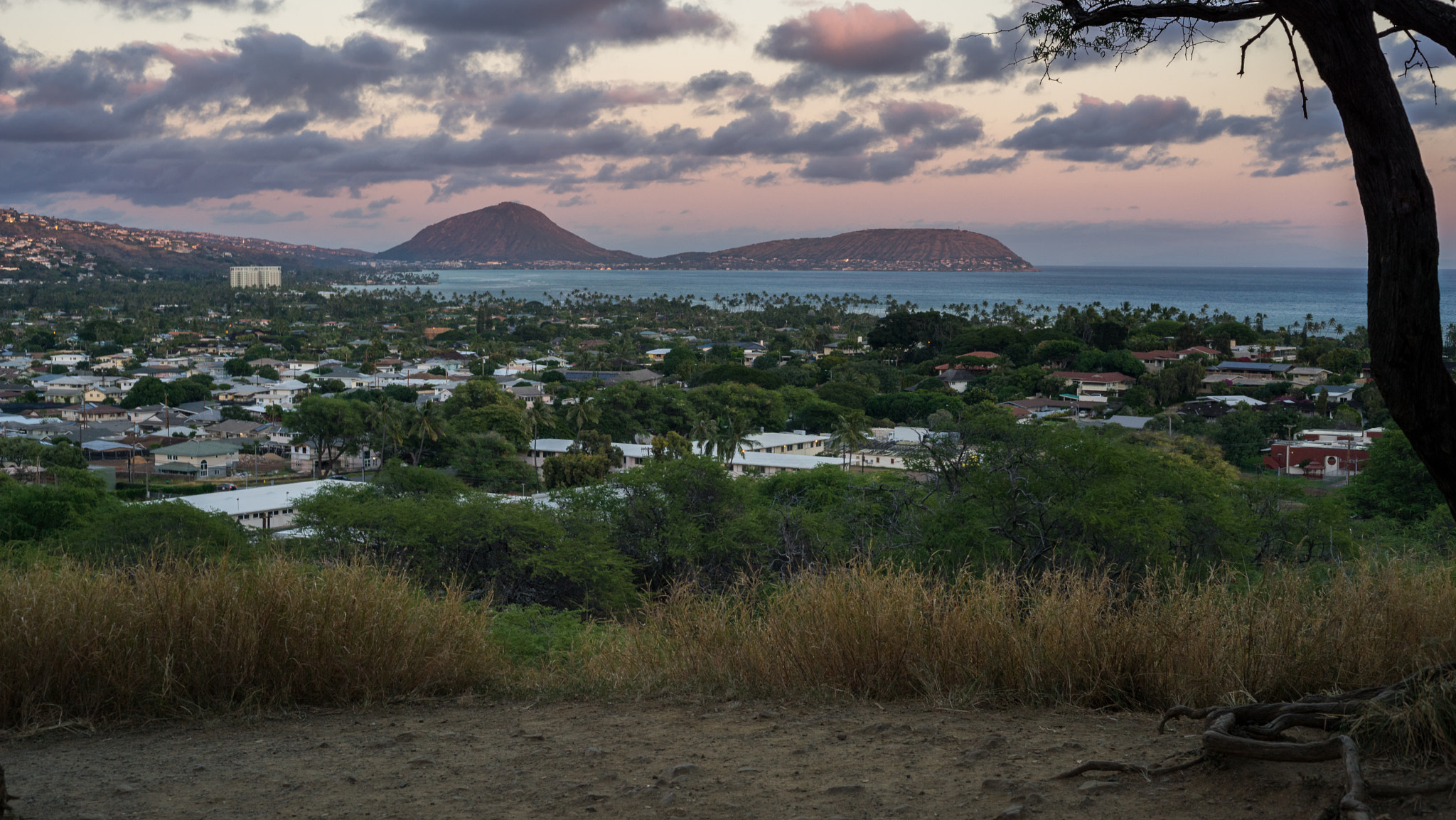 Sony a7R + Sony 70-400mm F4-5.6 G SSM sample photo. Beautiful landscape in purple light photography