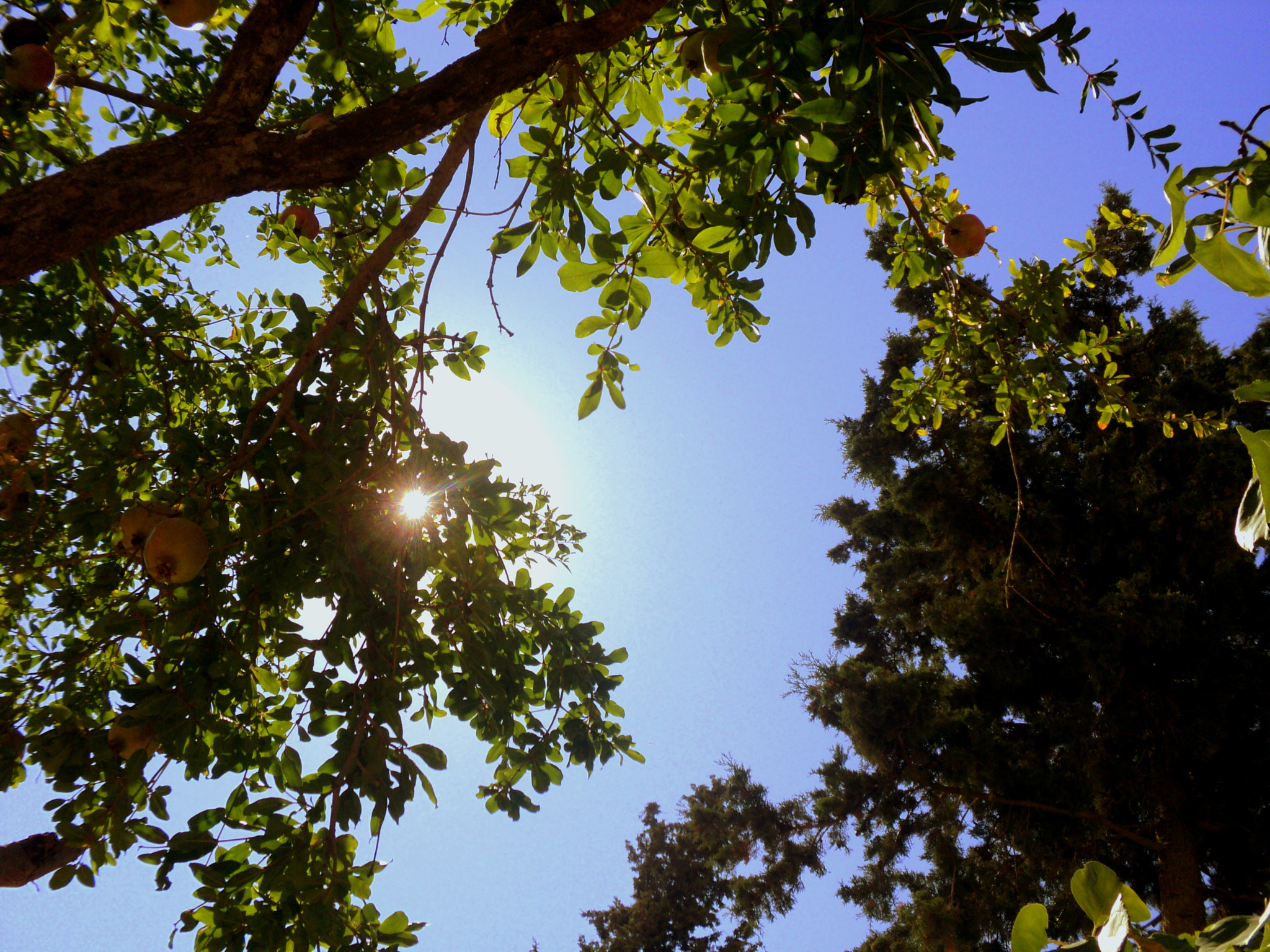 Sony DSC-S2000 sample photo. Skies &amp; nature photography