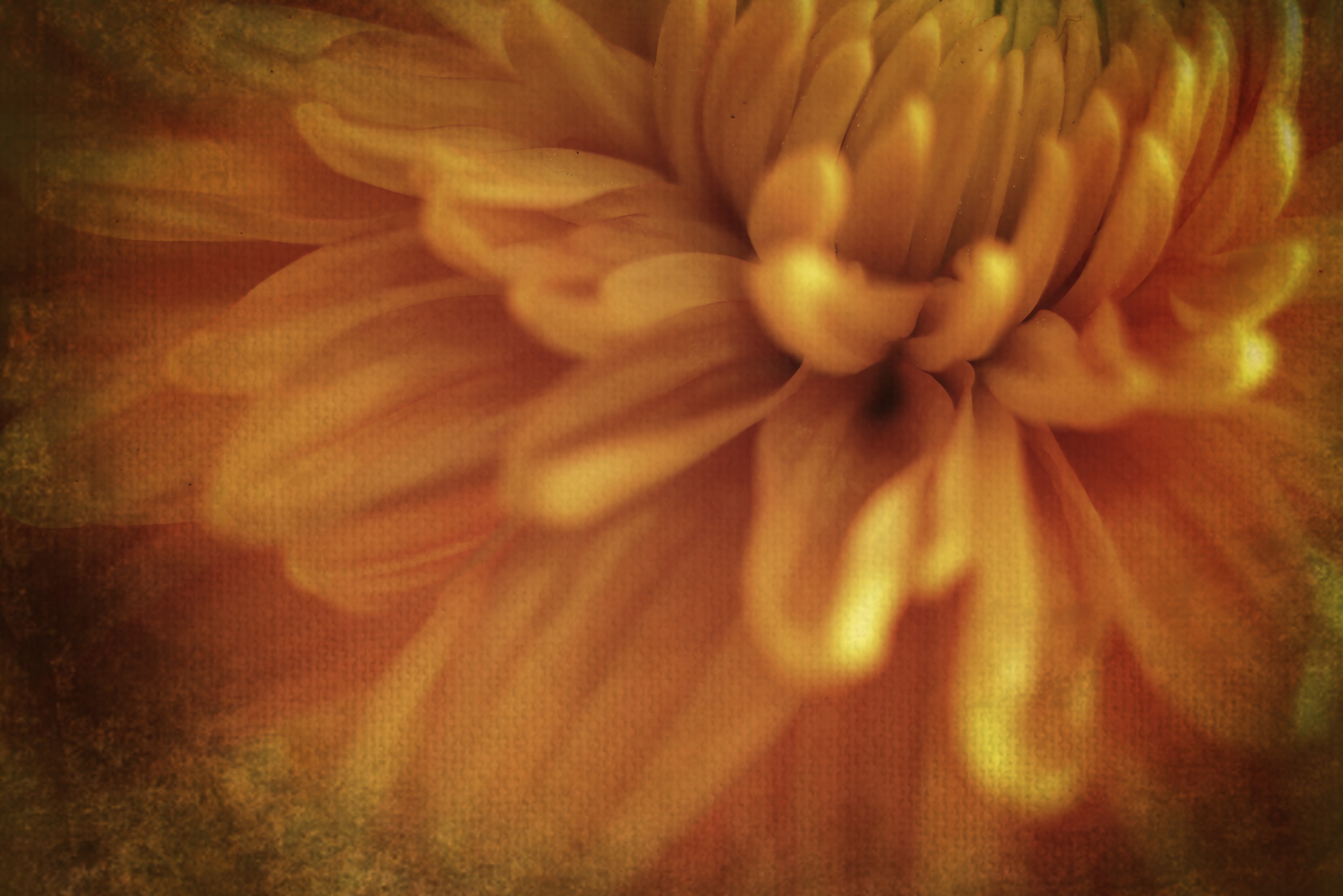 Canon EF 50mm F2.5 Macro sample photo. Forgotten era photography