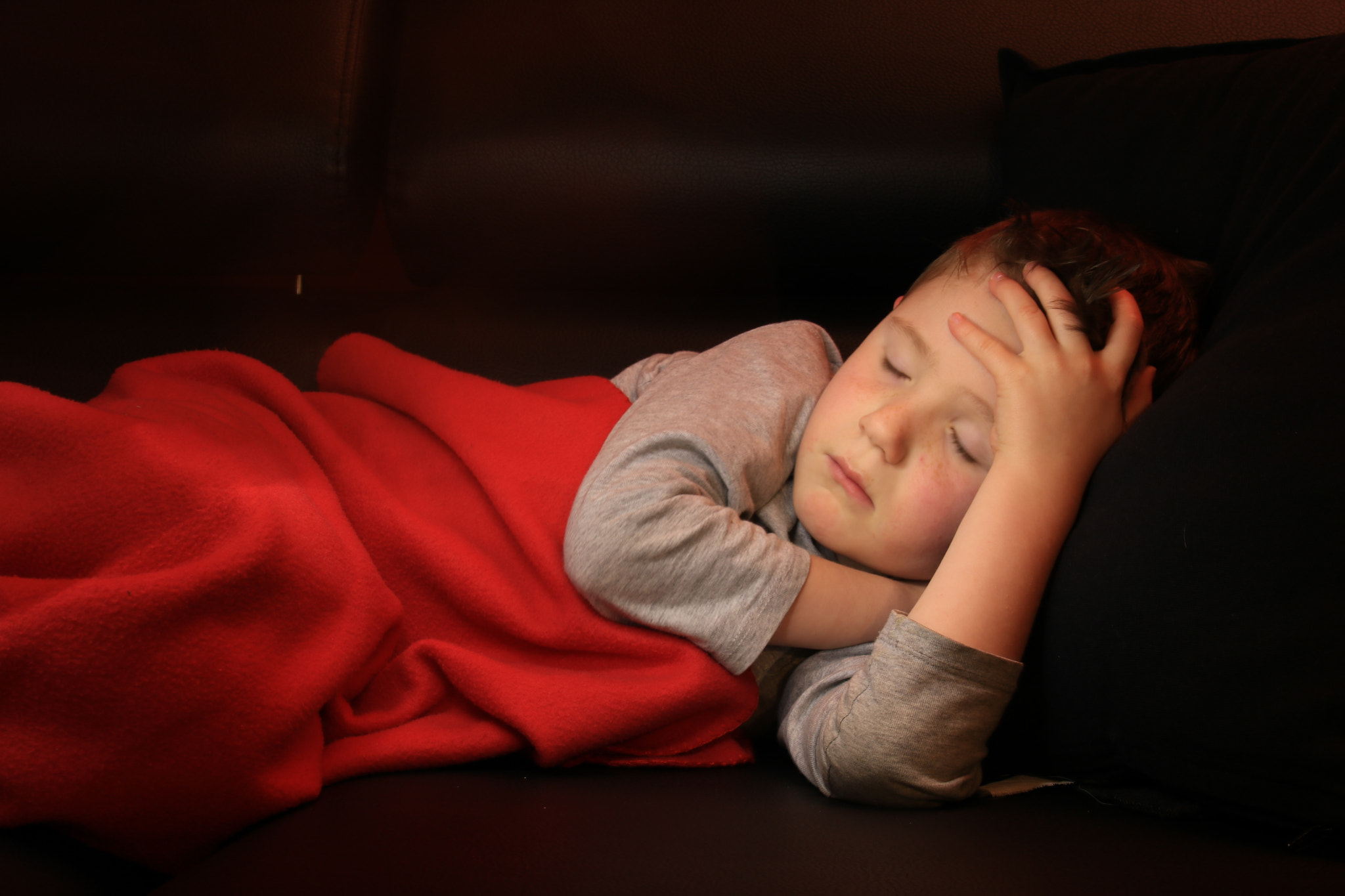 Canon EOS 760D (EOS Rebel T6s / EOS 8000D) sample photo. Light painted sleeper photography