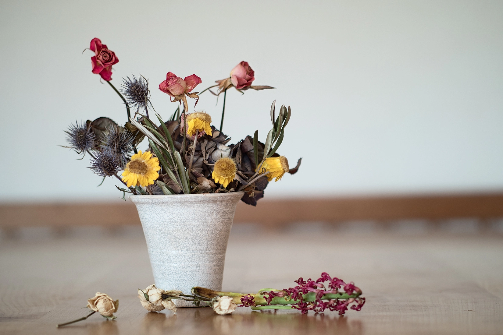 Panasonic Leica DG Nocticron 42.5mm F1.2 ASPH OIS sample photo. Fleurs photography