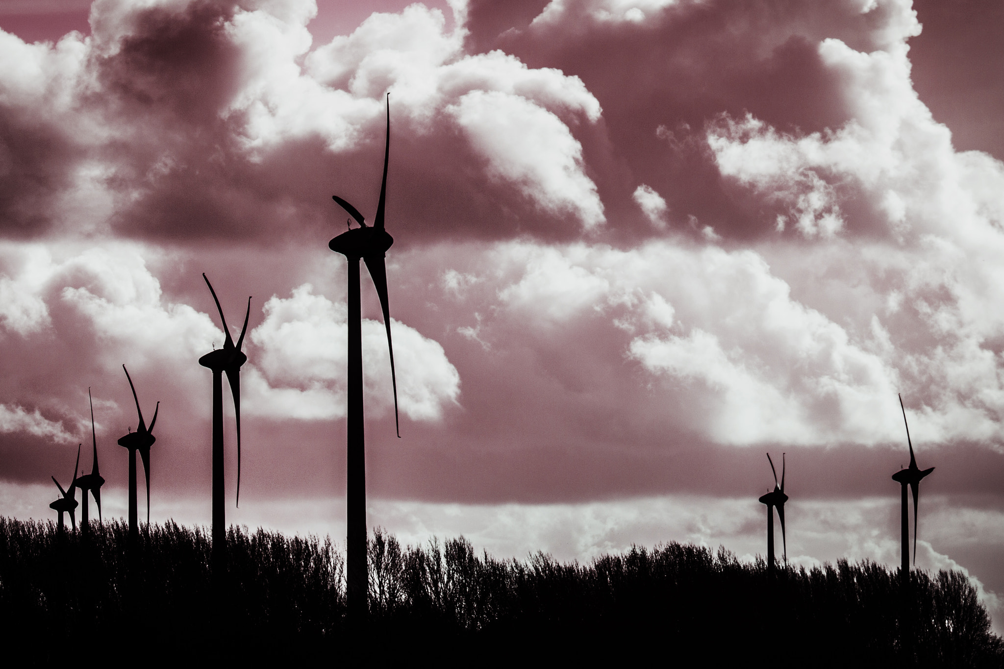 Canon EF-S 55-250mm F4-5.6 IS II sample photo. Windmills delfzijl photography