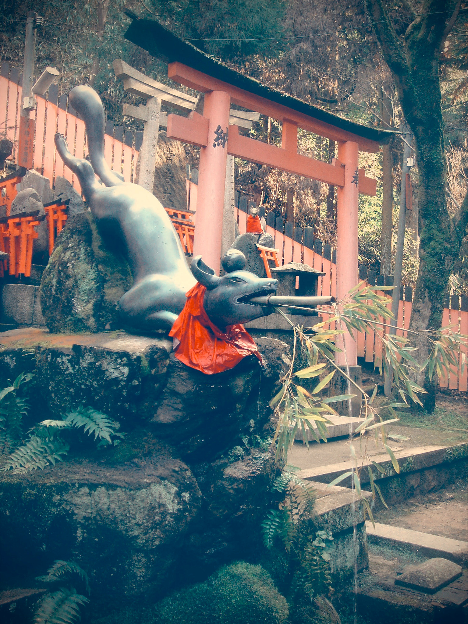 Sony DSC-T33 sample photo. Sacred torii gates in kyoto fushimi inari photography