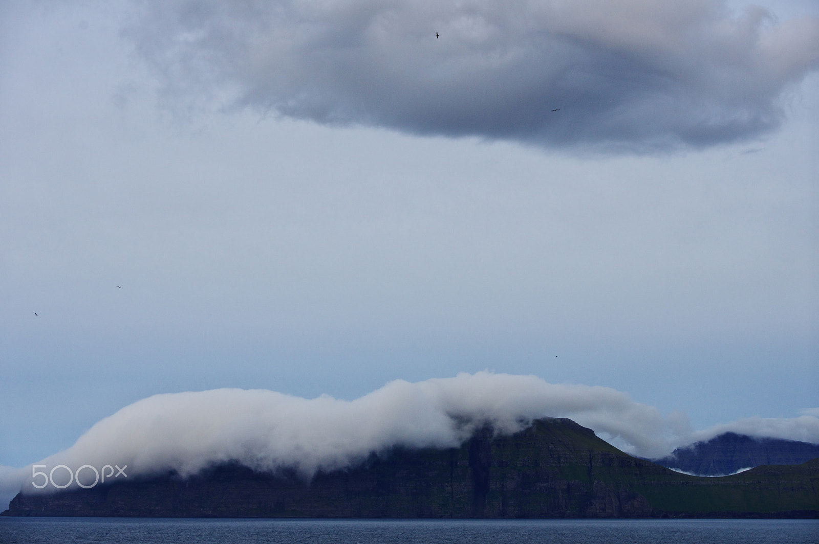 Pentax K-3 sample photo. Cotton photography