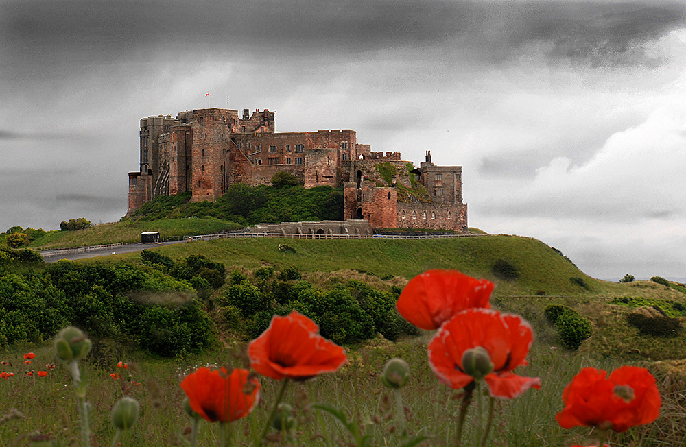 Nikon D2Xs sample photo. Banburgh castle photography