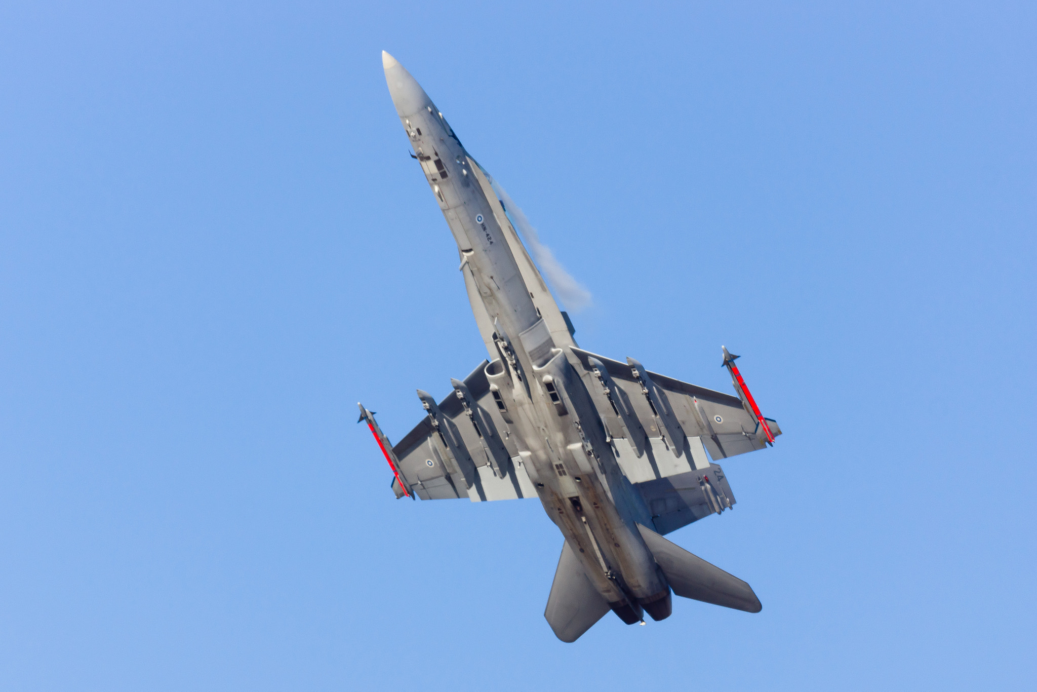 Sony SLT-A65 (SLT-A65V) + Sony 500mm F8 Reflex sample photo. Hornet photography