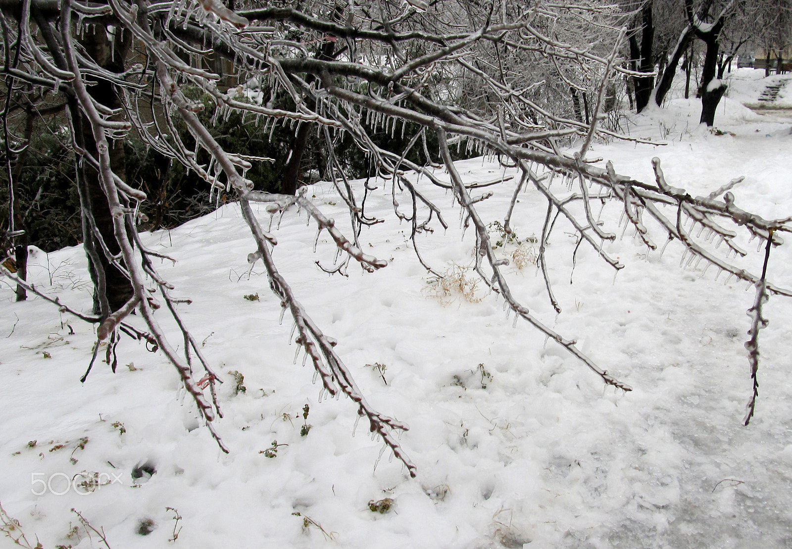Canon EF 70-200mm F4L USM sample photo. Ice fairy tale photography