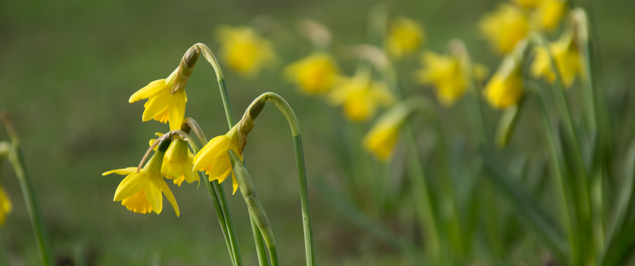 Sigma 18-125mm F3.8-5.6 DC HSM sample photo. Time for a tete a tete photography