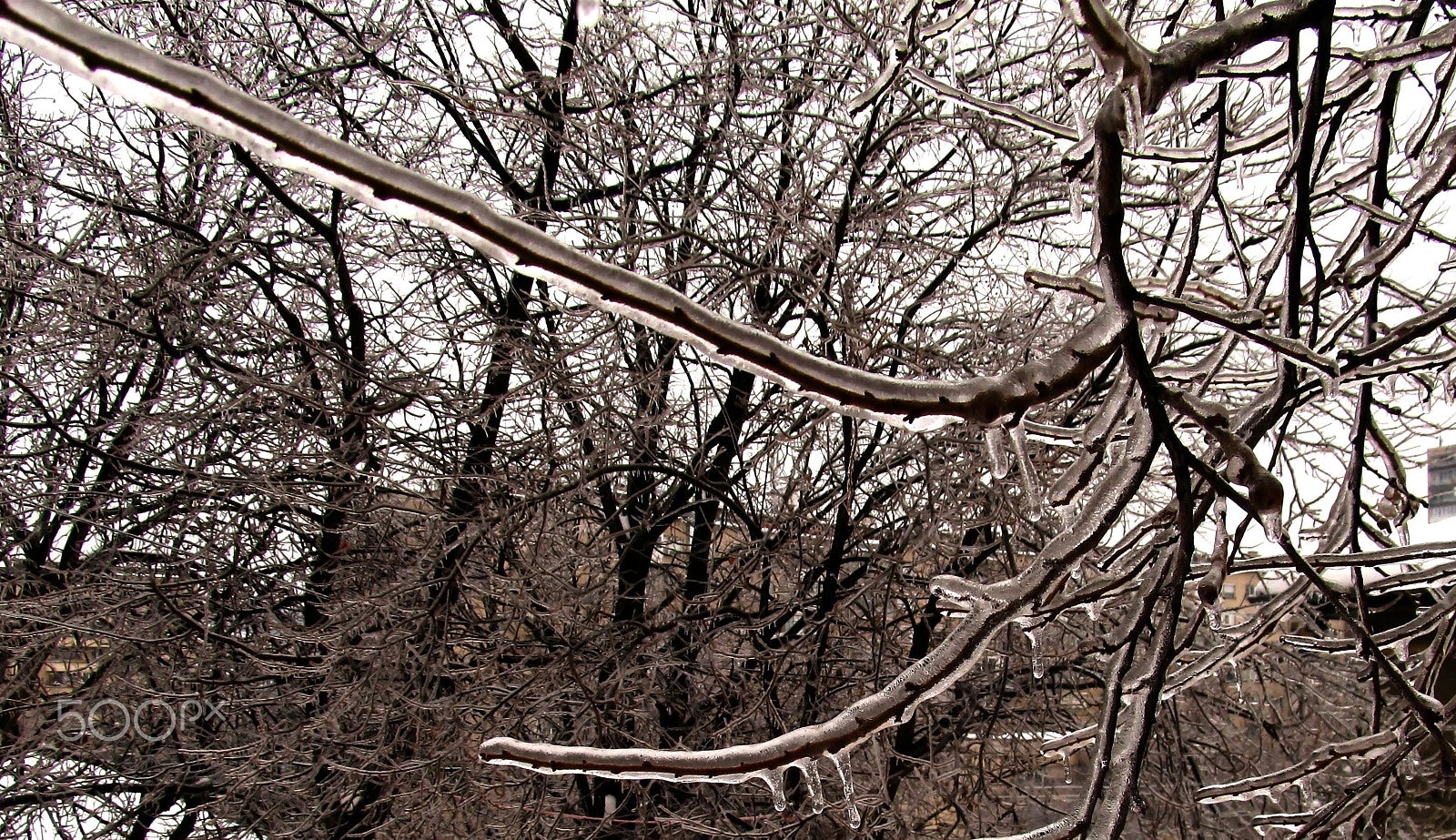 Canon EF 70-200mm F4L USM sample photo. Ice fairy tale photography
