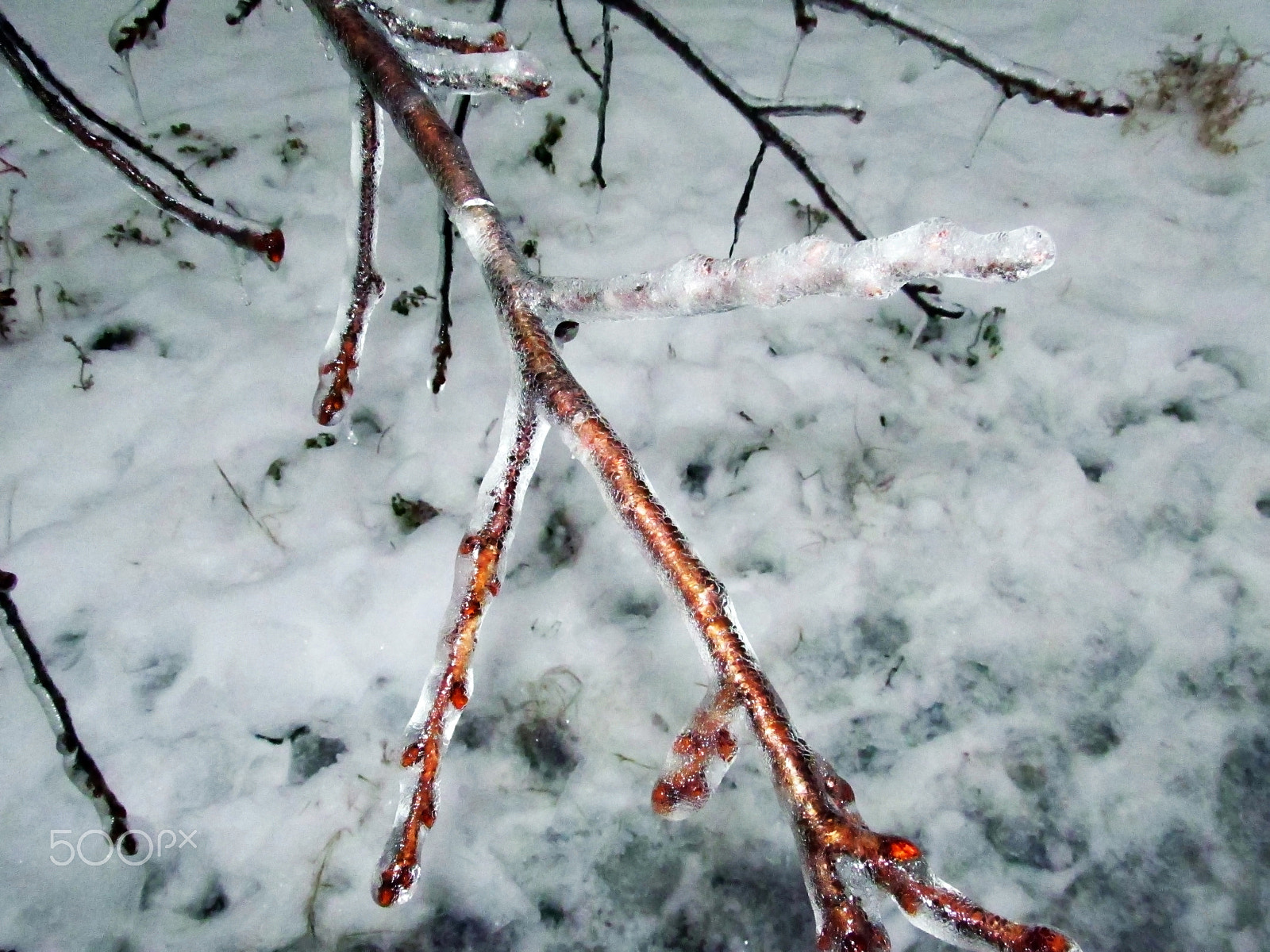 Canon EF 70-200mm F4L USM sample photo. Ice fairy tale photography