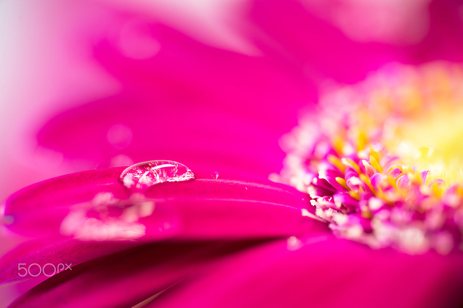 Nikon Df sample photo. Drop photography