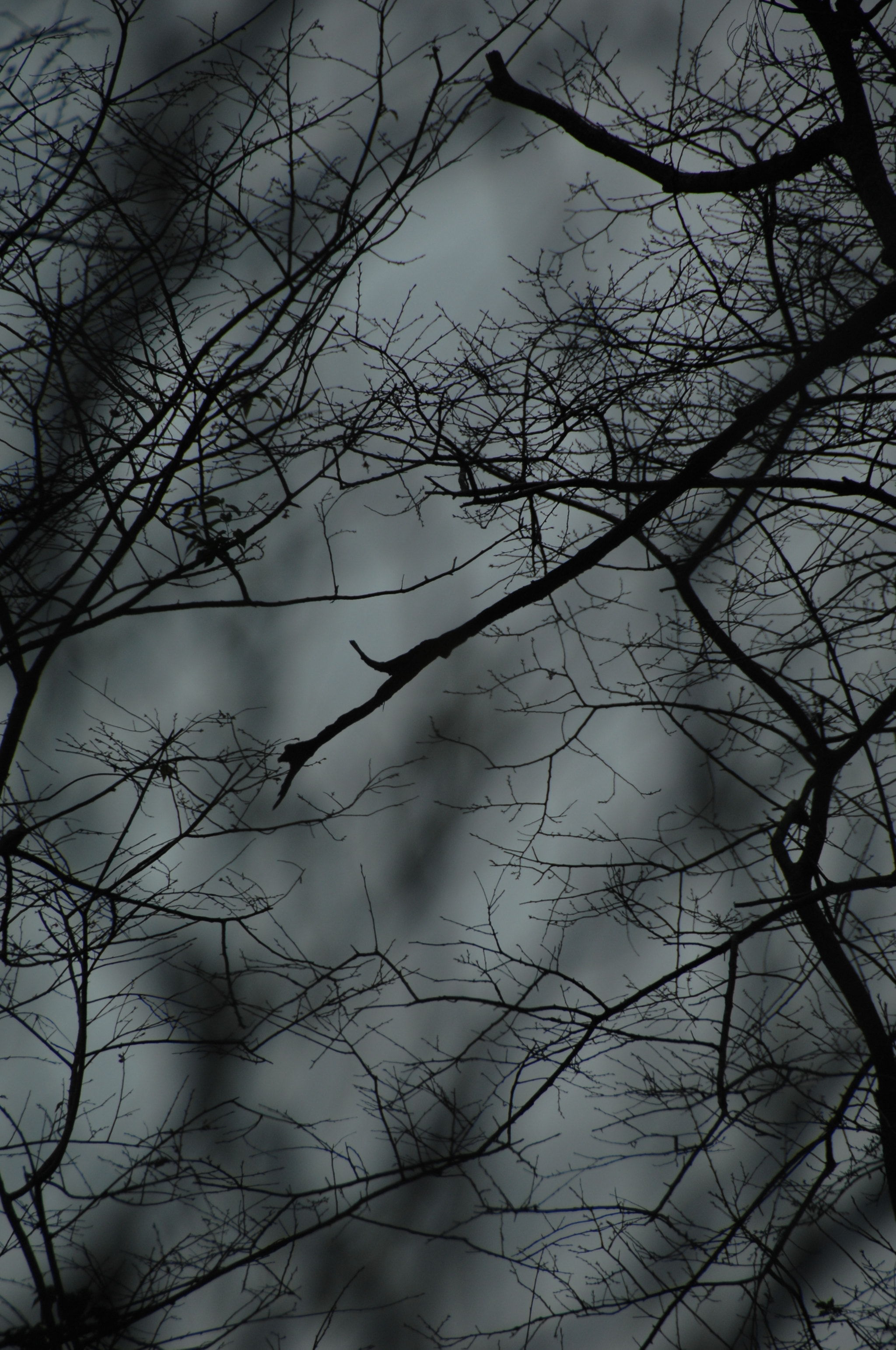 Nikon D2X sample photo. .. photography