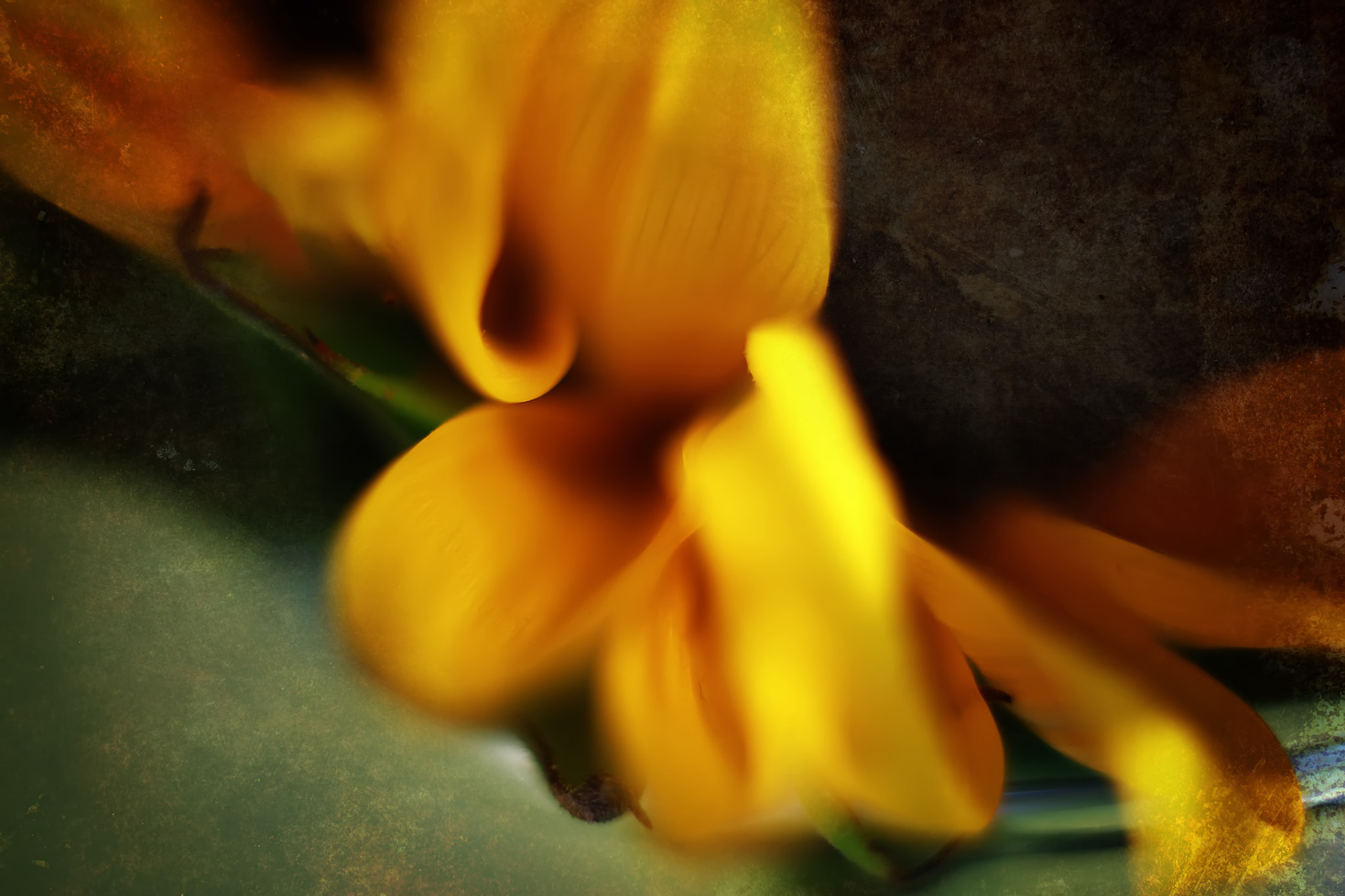 Canon EF 50mm F2.5 Macro sample photo. Probing photography