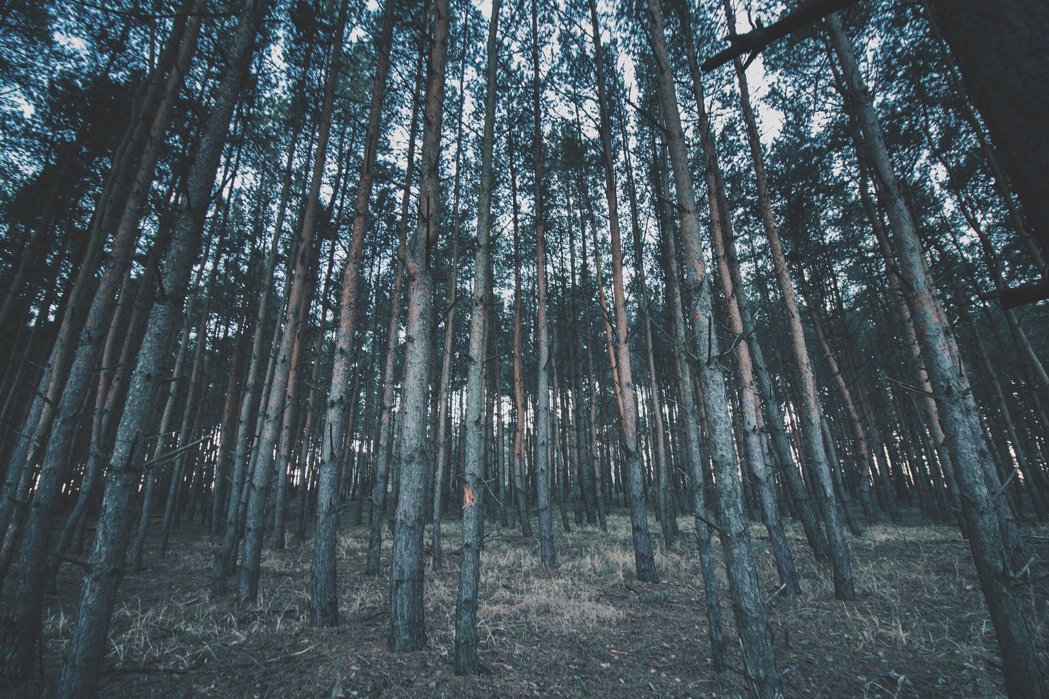 Canon EOS M sample photo. Processed with vscocam with hb2 preset photography