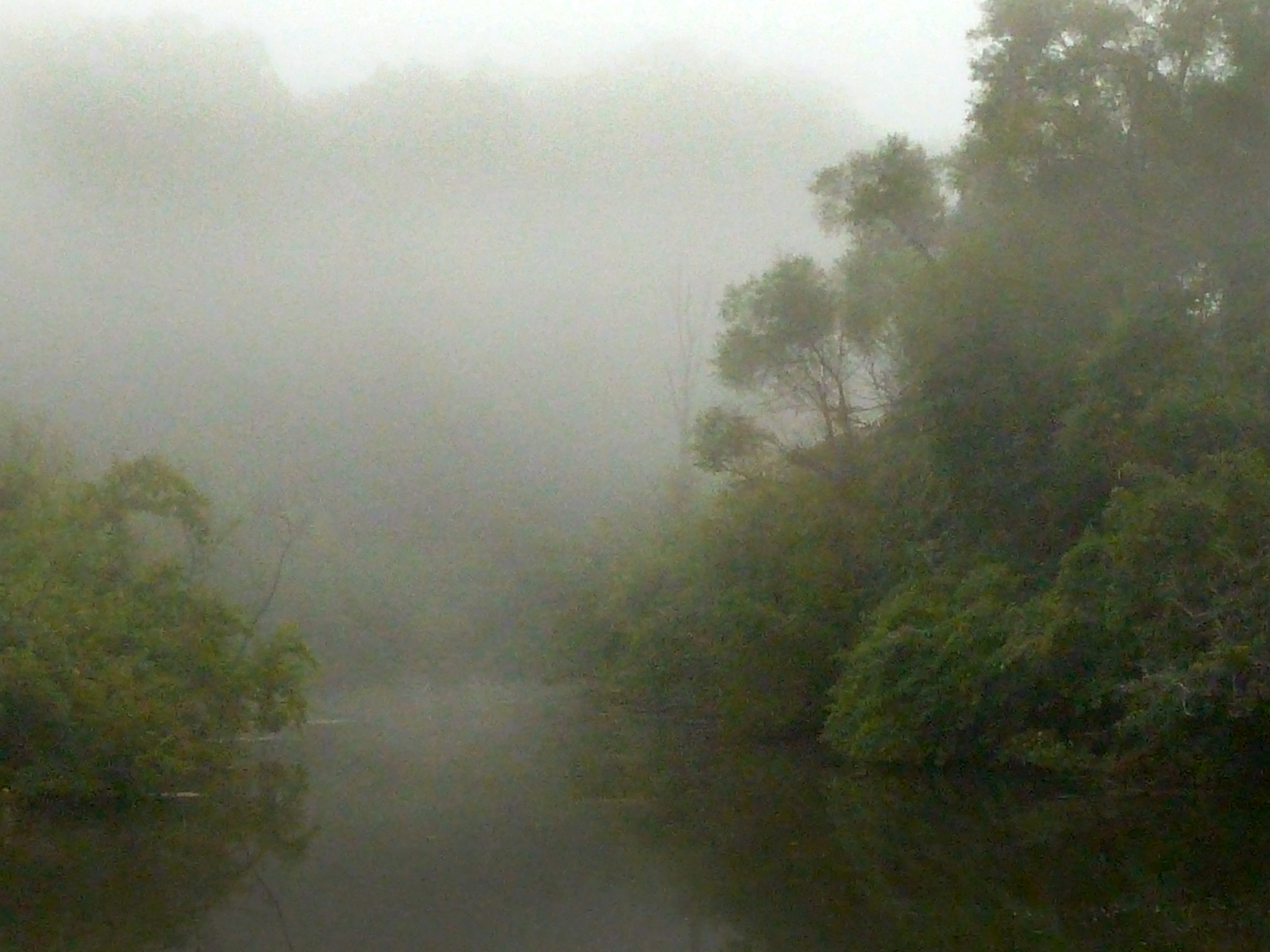 Leica V-Lux 20 sample photo. Punderson in fog, no.23 photography