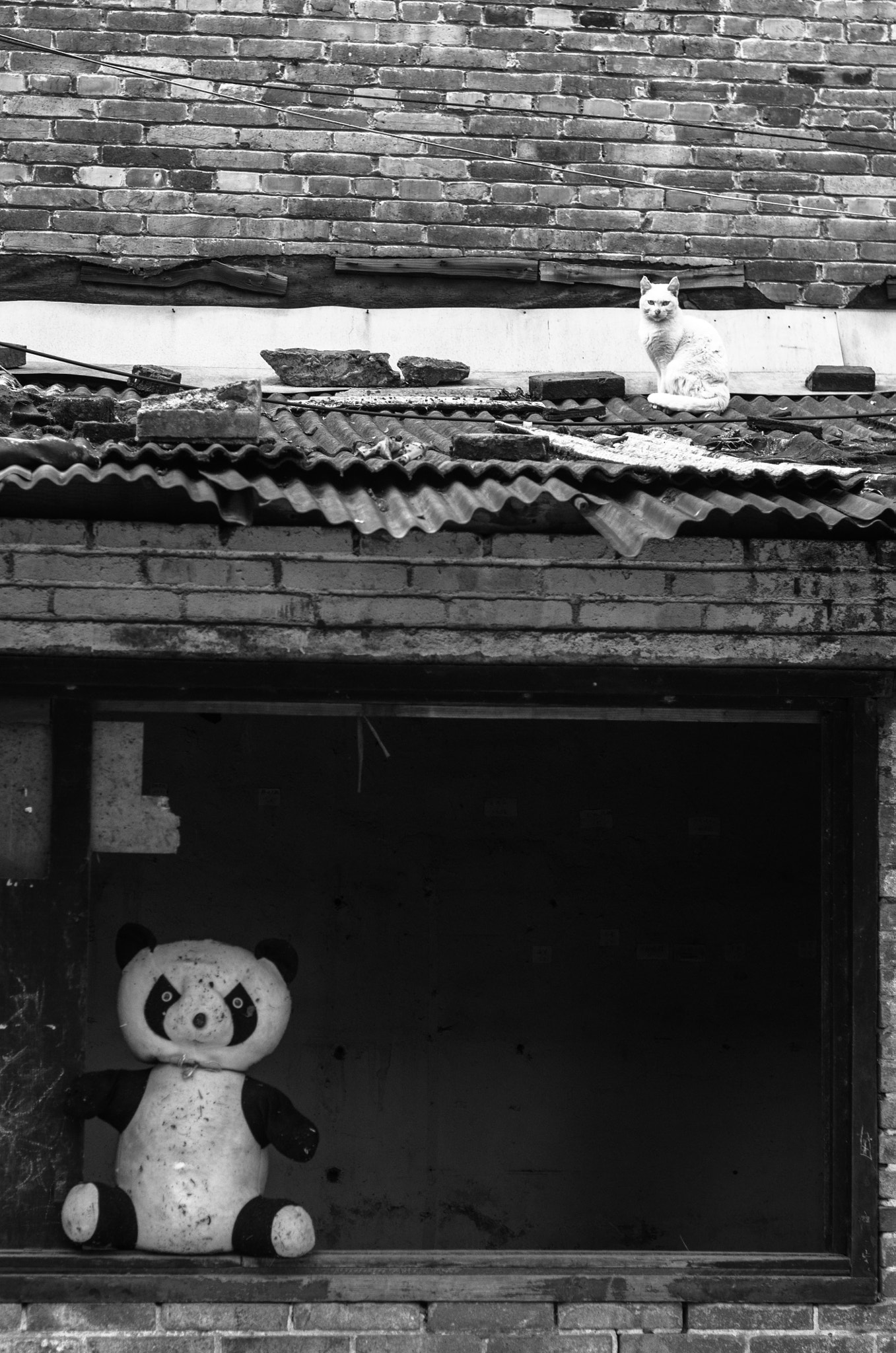 smc PENTAX-F 50mm F1.7 sample photo. 2016.2.11 photography