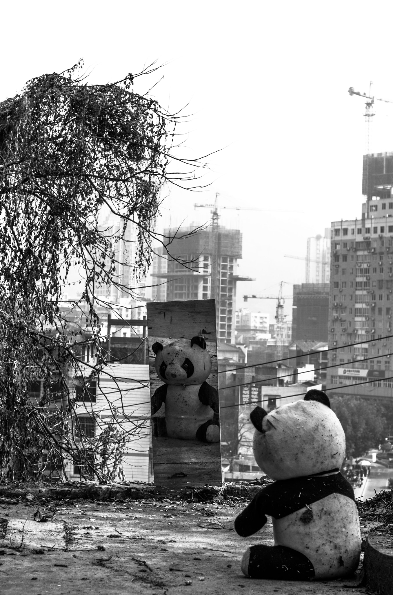 smc PENTAX-F 50mm F1.7 sample photo. 2016.2.11 photography