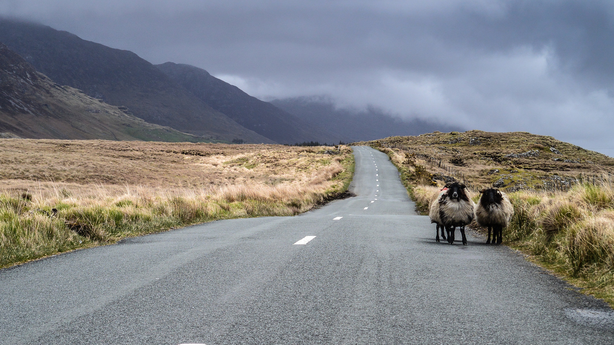 Nikon 1 J3 sample photo. Ireland 1 photography