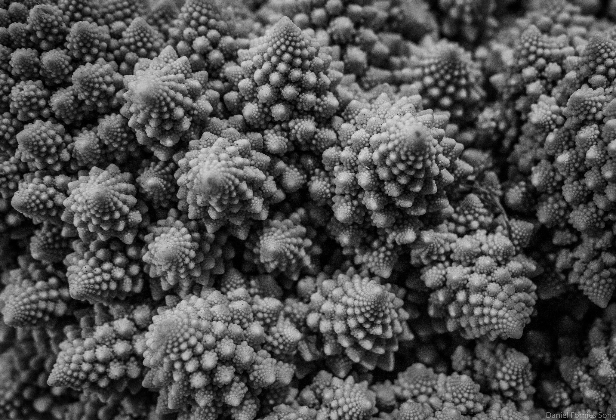 Sigma 24mm f/1.8 DG Macro EX sample photo. Alienscapes photography