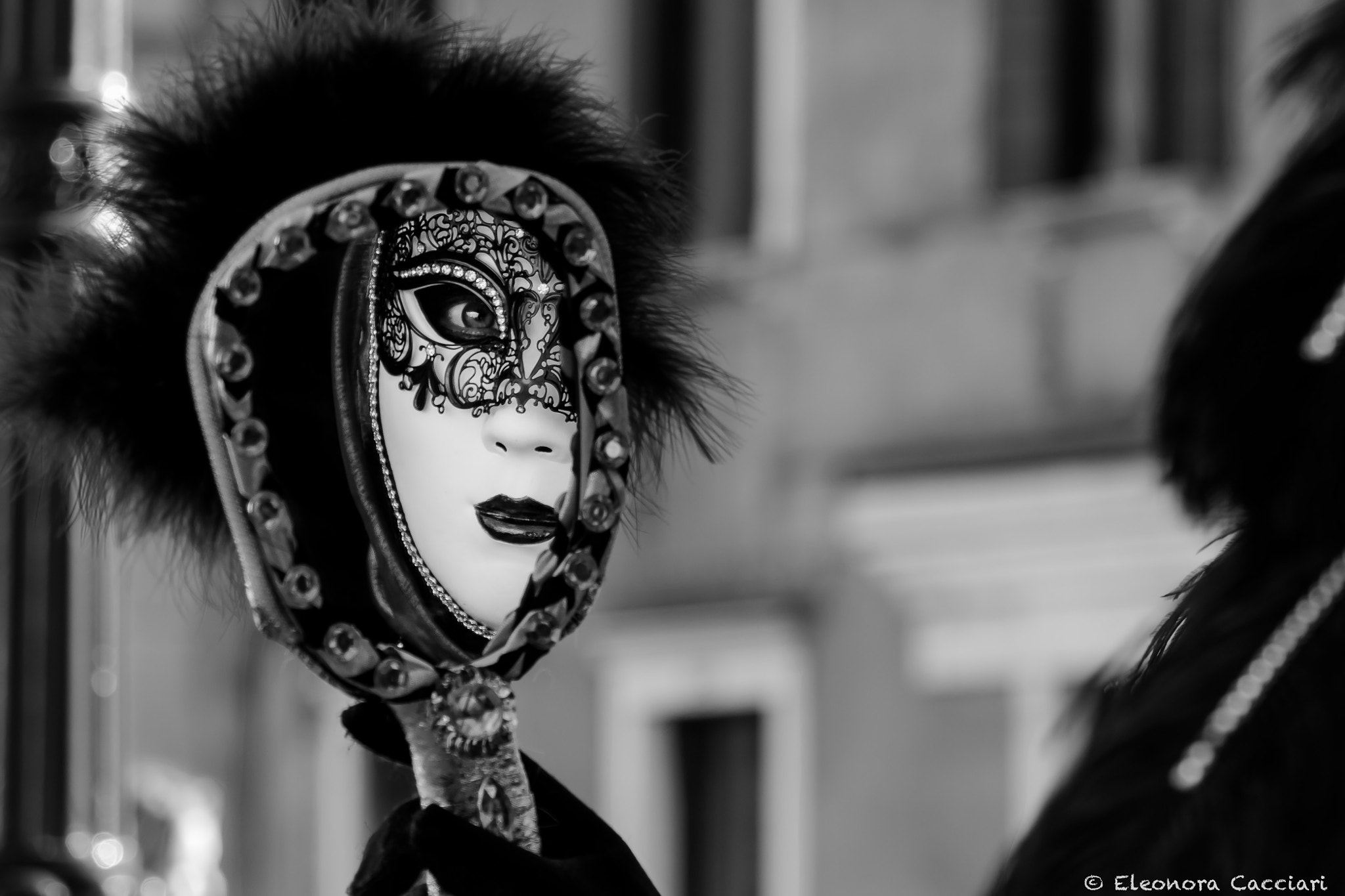 Canon EF-S 18-135mm F3.5-5.6 IS STM sample photo. The mysterious carnival mask photography