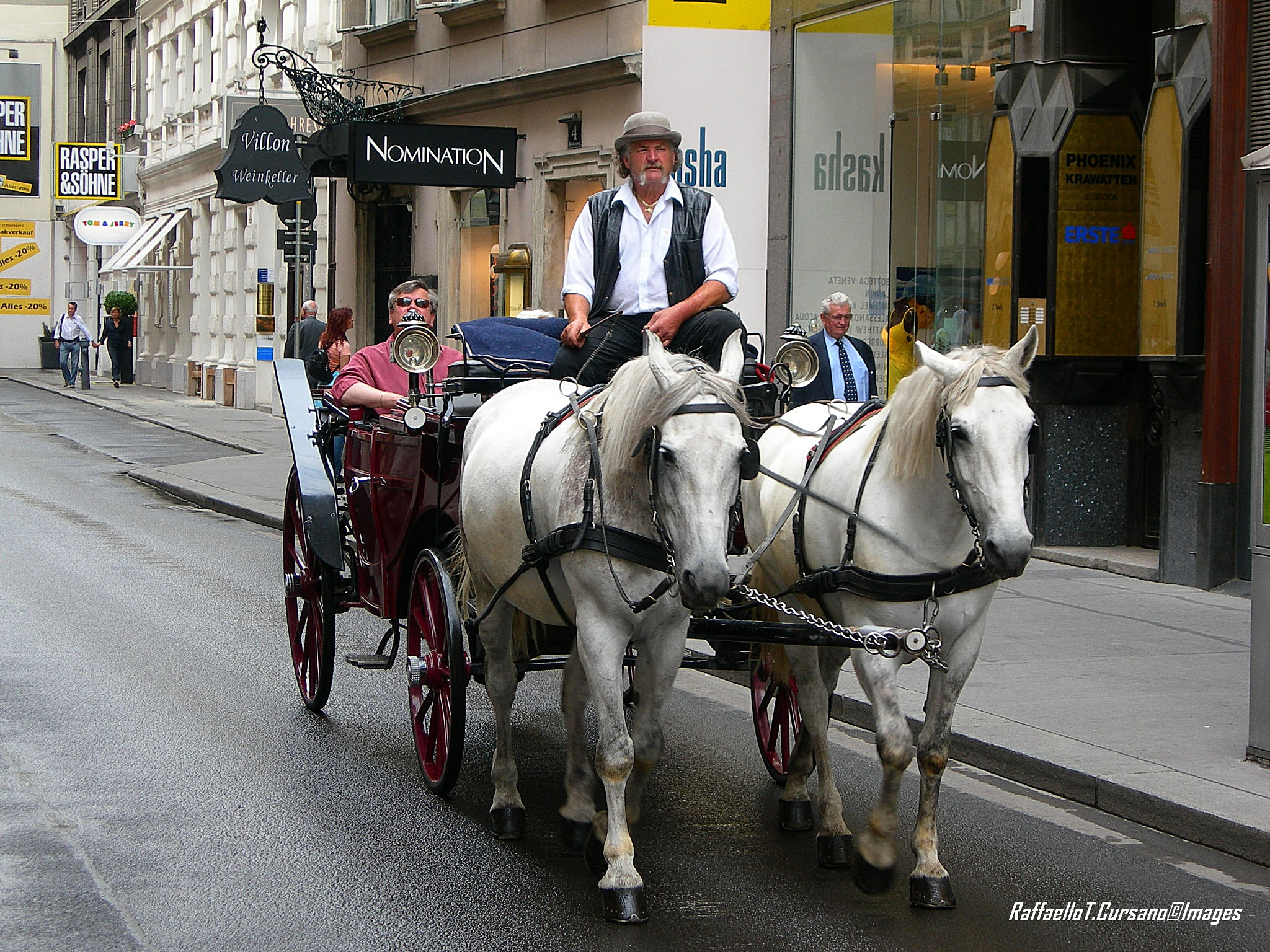 Nikon E7600 sample photo. White horse in wien. photography