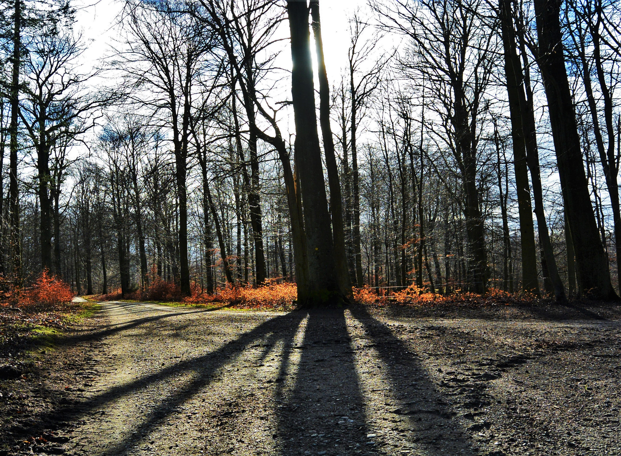 Nikon 1 S1 sample photo. Shadows... photography