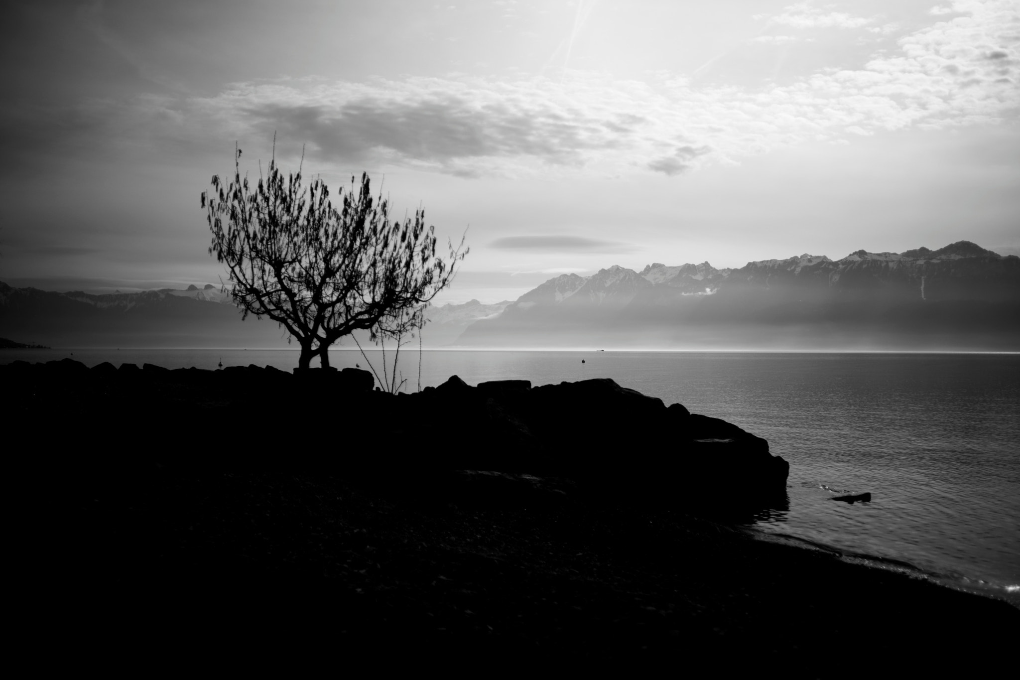 Sony a99 II + Sony 35mm F1.4 G sample photo. View on lake geneva, alps and evian from lausanne (2016-02-02, #14) photography