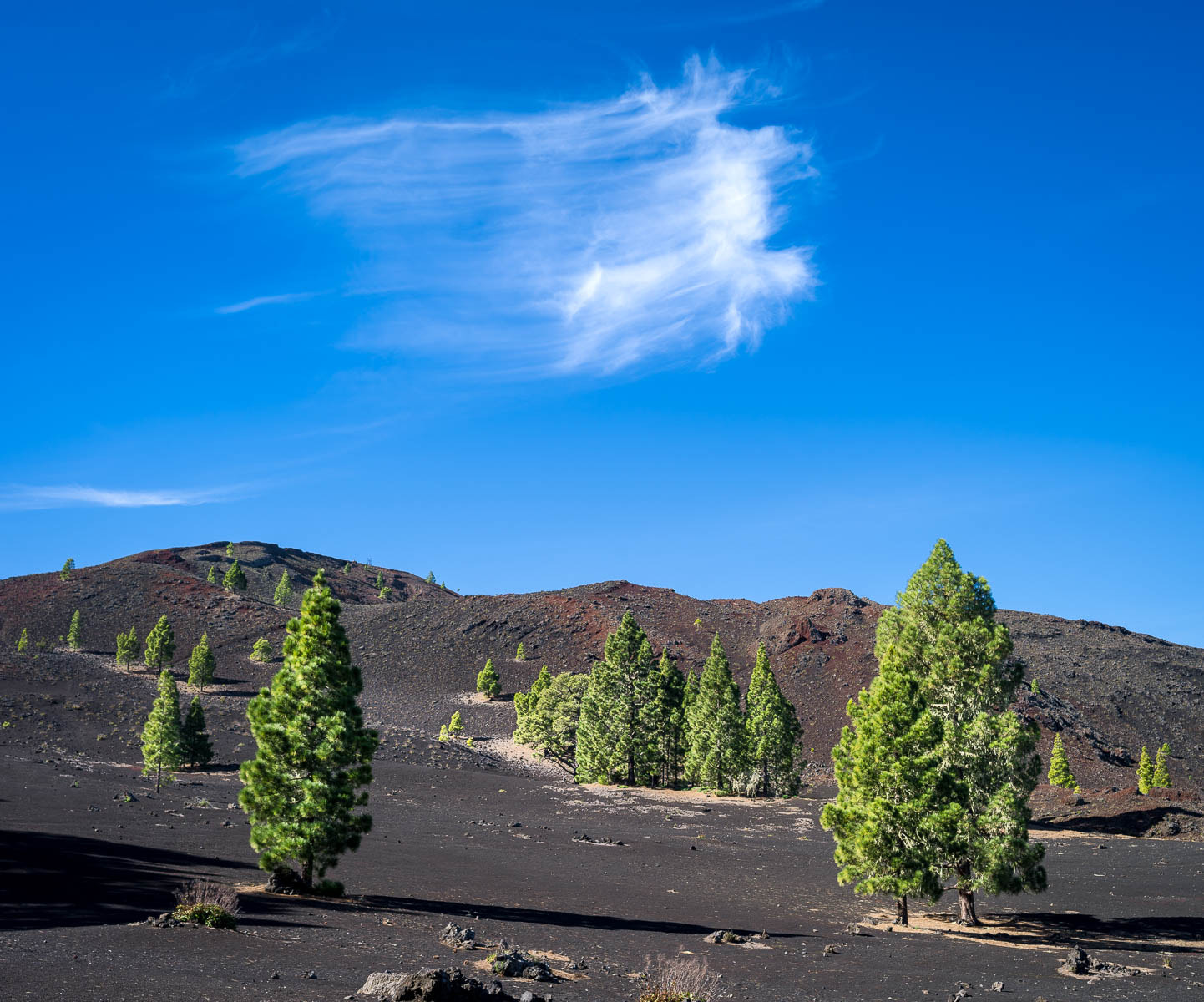 Pentax 645D sample photo. Single cloud photography