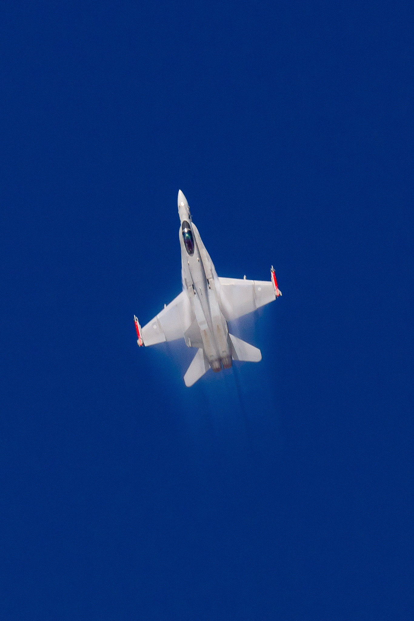 Sony 70-300mm F4.5-5.6 G SSM sample photo. Hornet streak photography