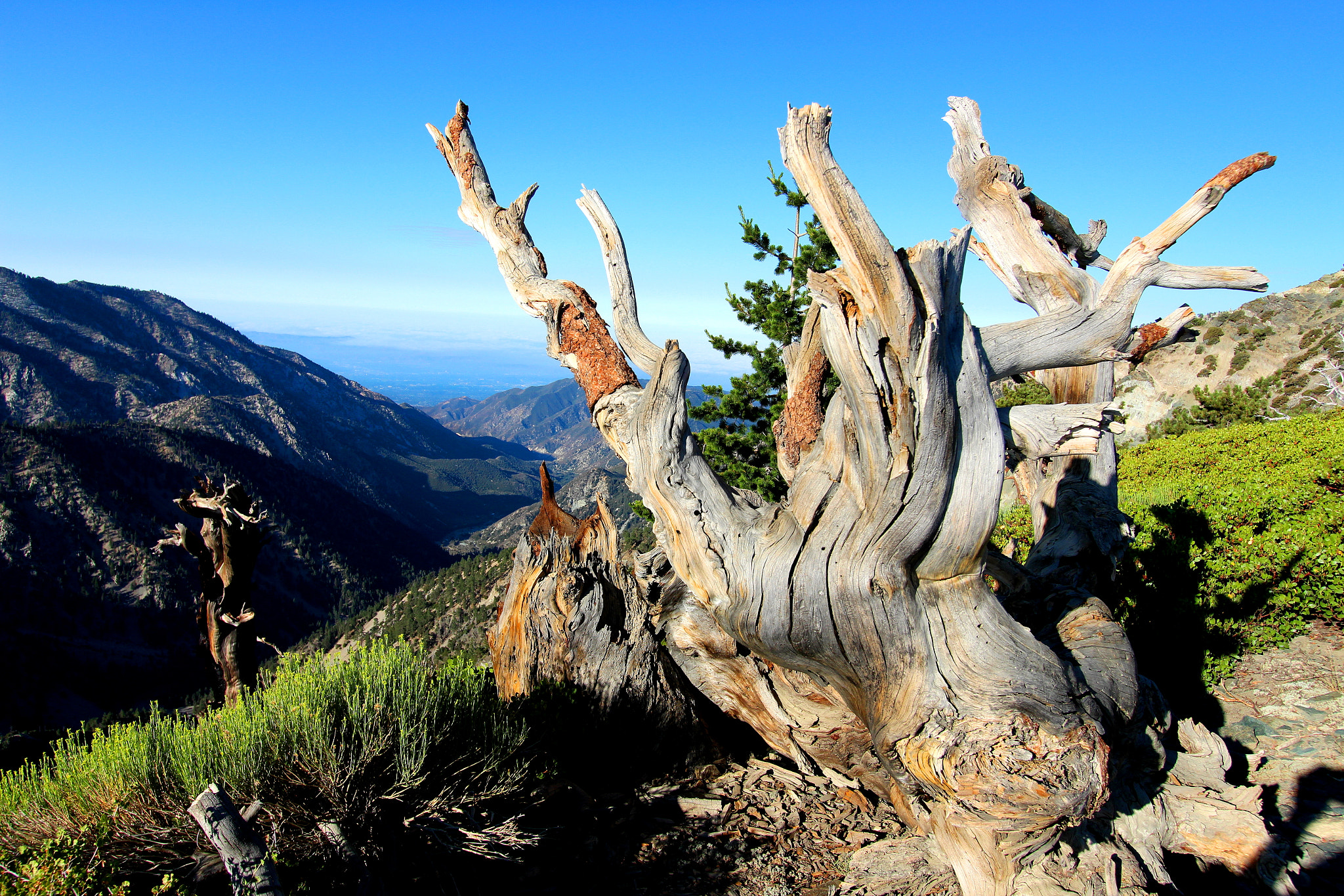 Canon EOS 650D (EOS Rebel T4i / EOS Kiss X6i) sample photo. Devils backbone photography