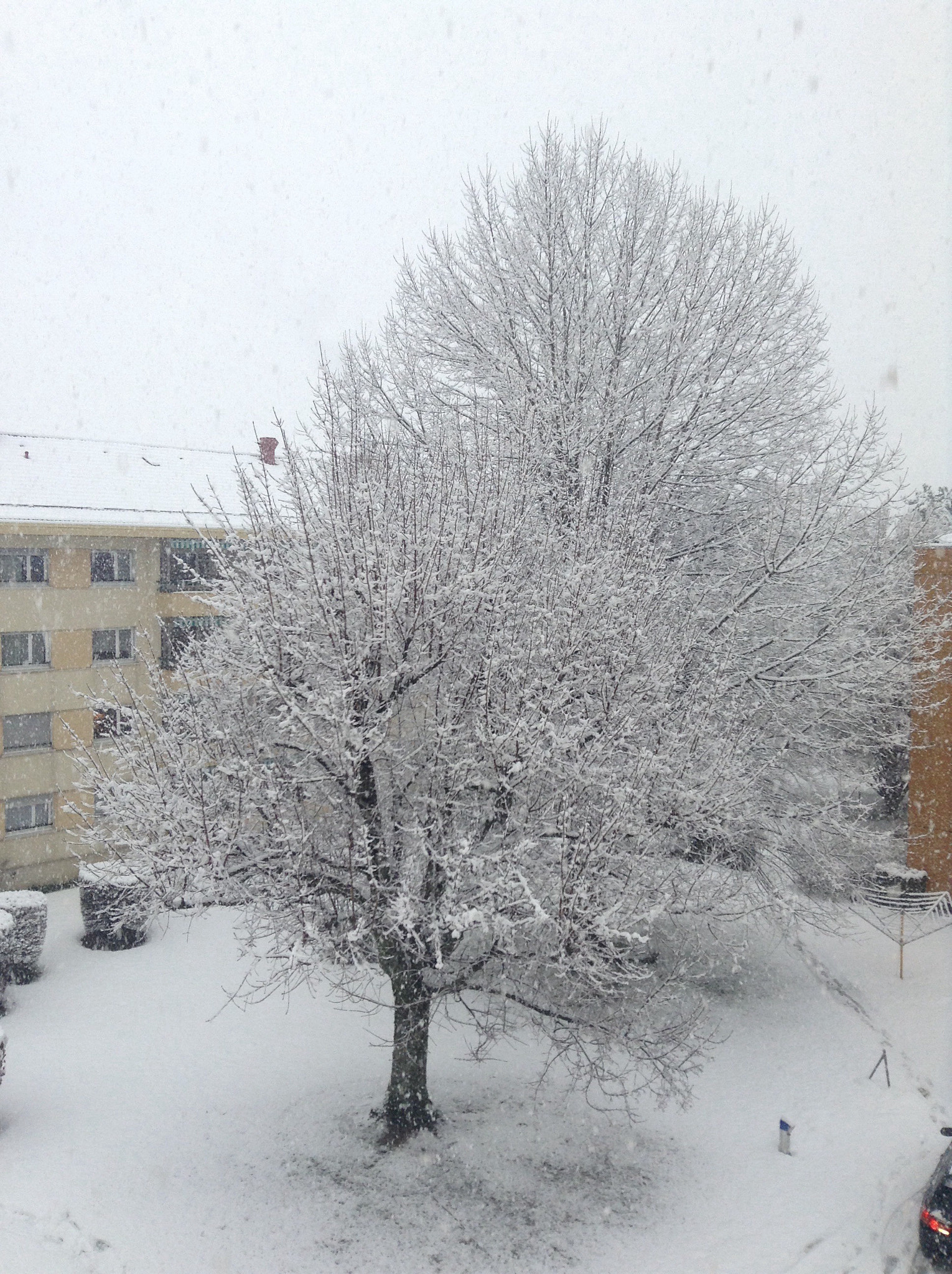 Apple iPod Touch (5 Gen) sample photo. ❄️ photography