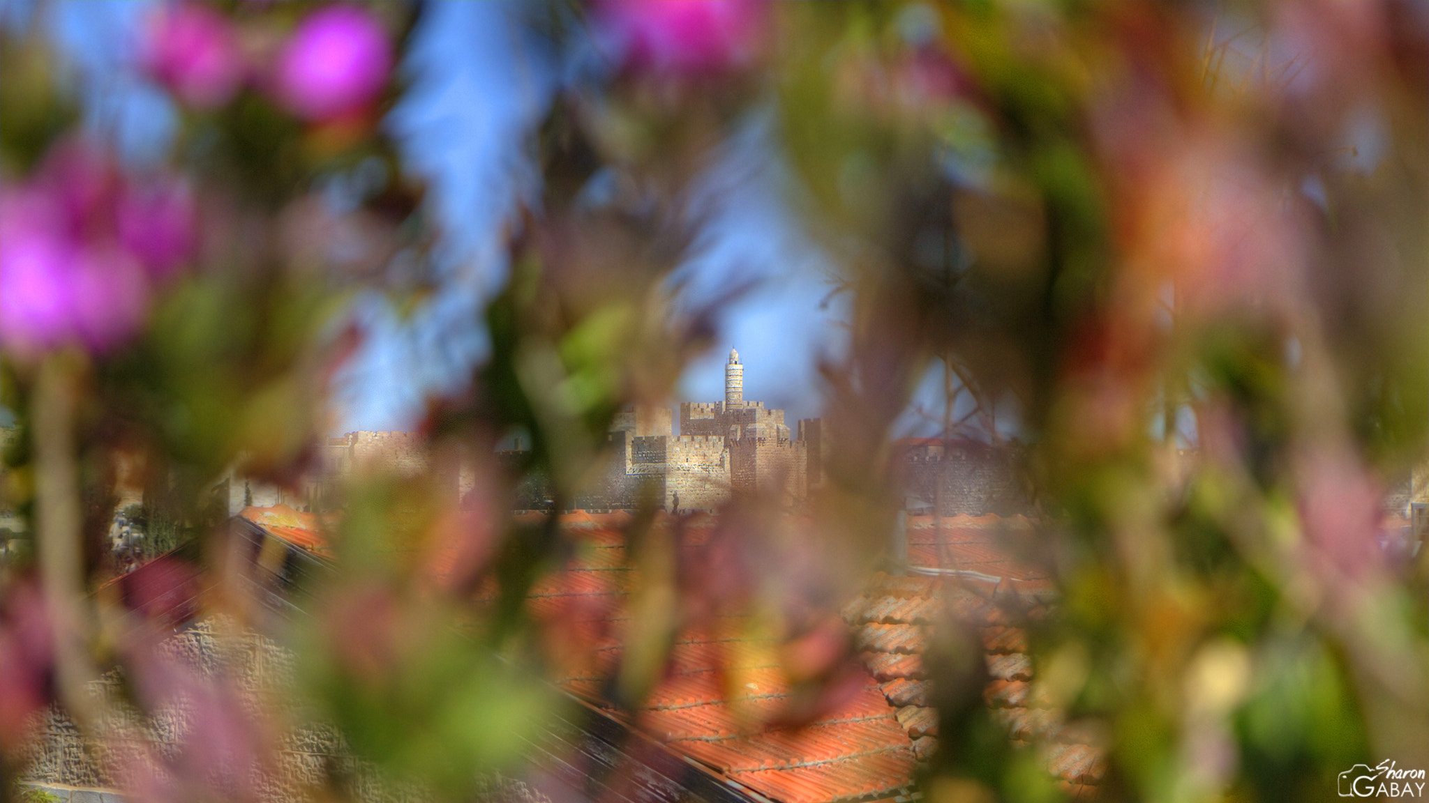 Canon EF-S 17-55mm F2.8 IS USM sample photo. The tower photography