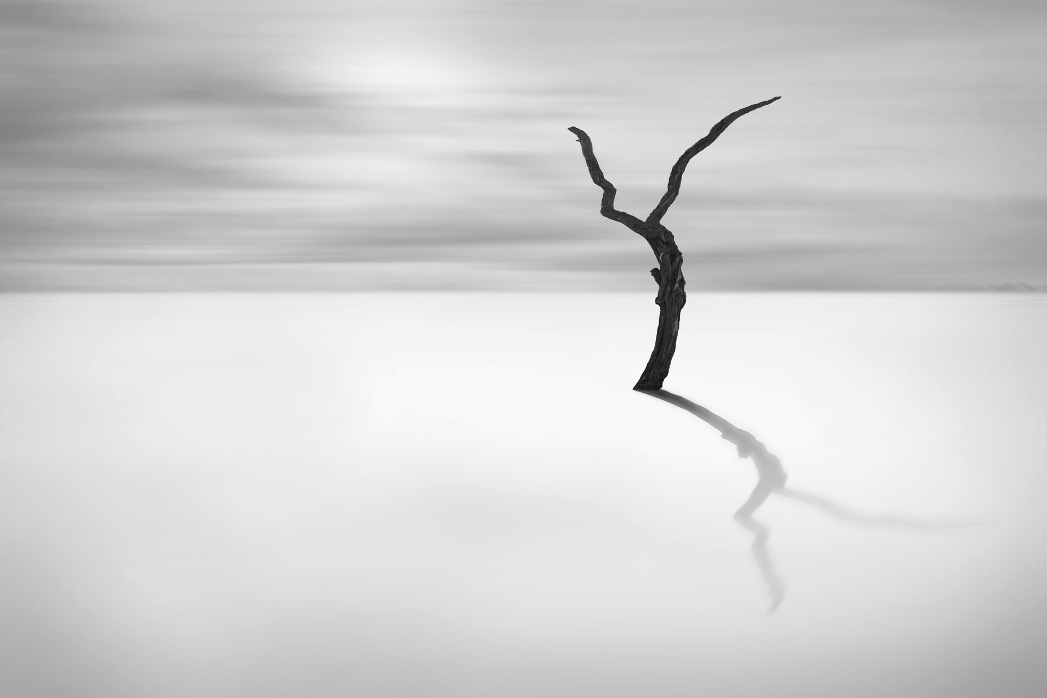 AF-S Zoom-Nikkor 80-200mm f/2.8D IF-ED sample photo. Truncated silence photography
