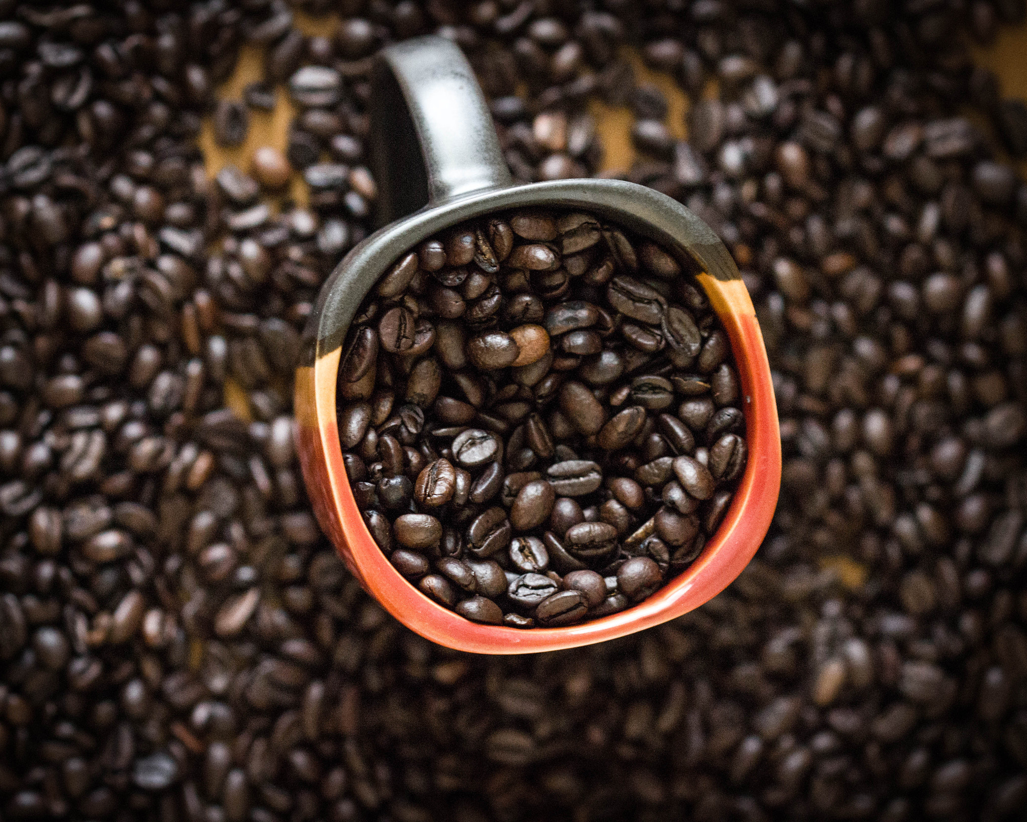 Canon EF 100mm F2.8 Macro USM sample photo. Exploration of coffee iii photography