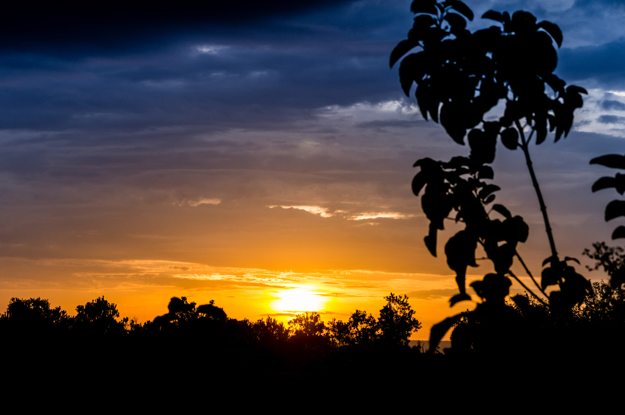 Sigma 17-70mm F2.8-4 DC Macro HSM sample photo. Sunset in masai mara photography