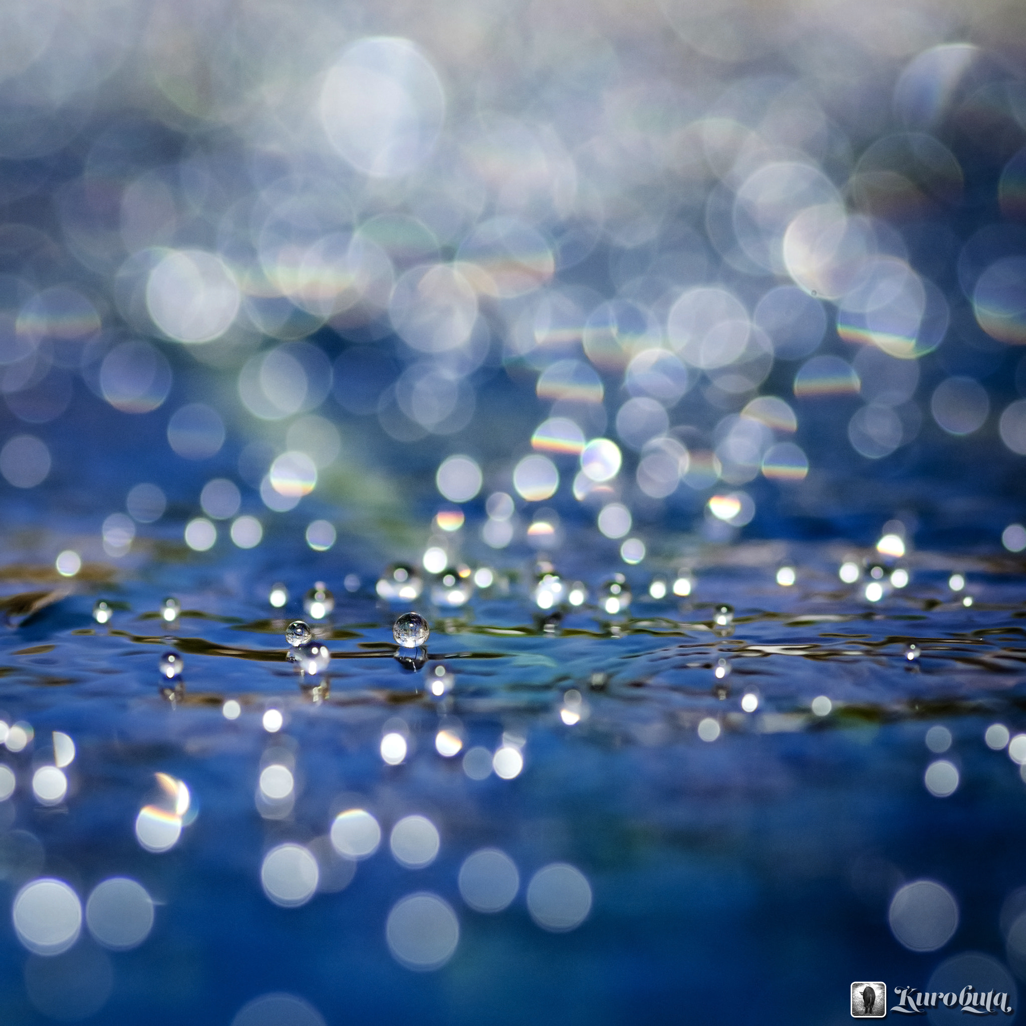 Pentax smc D-FA 100mm F2.8 Macro WR sample photo. Drops photography