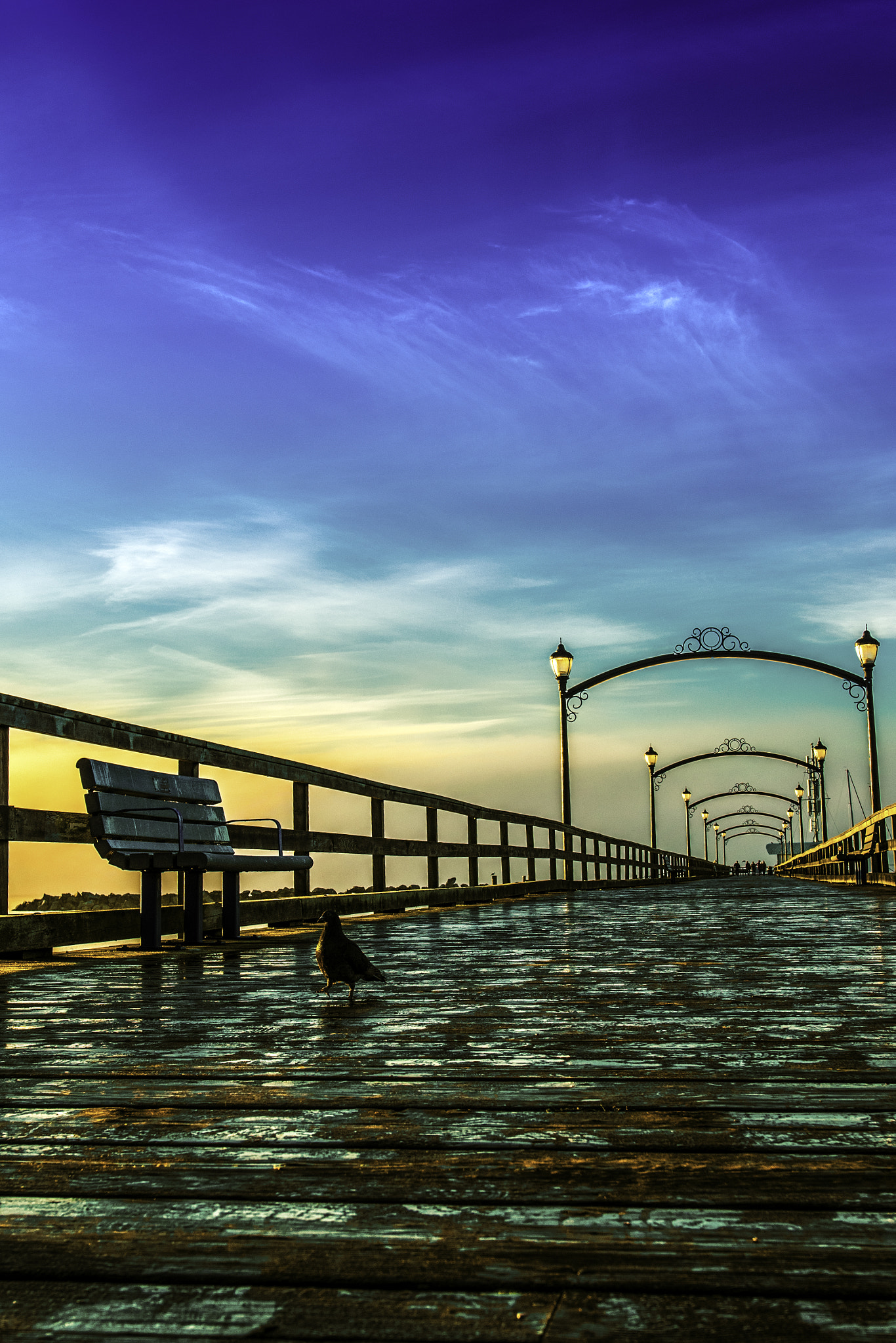 Nikon AF-S Nikkor 14-24mm F2.8G ED sample photo. The walk along the pier photography