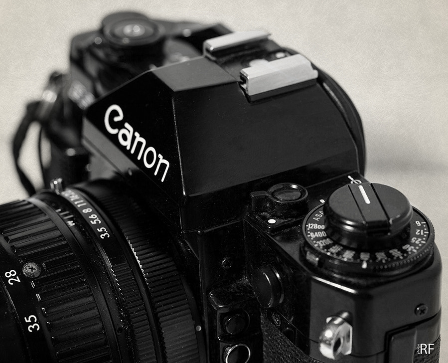 Canon EOS 5D + Canon EF 100mm F2.8L Macro IS USM sample photo. Canon a1 photography