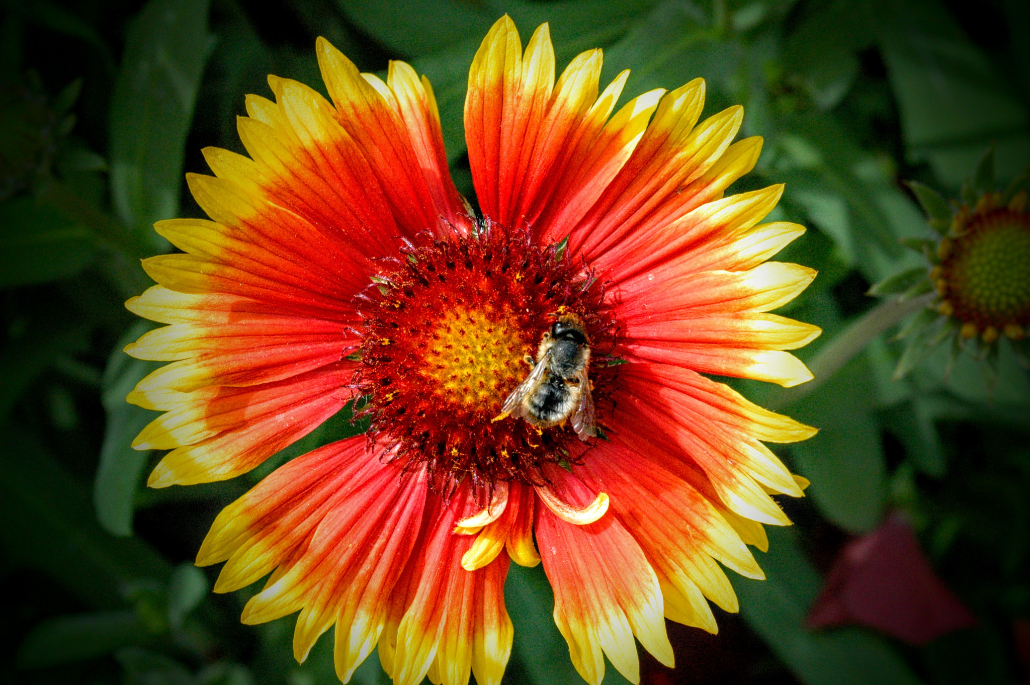 Nikon D70s sample photo