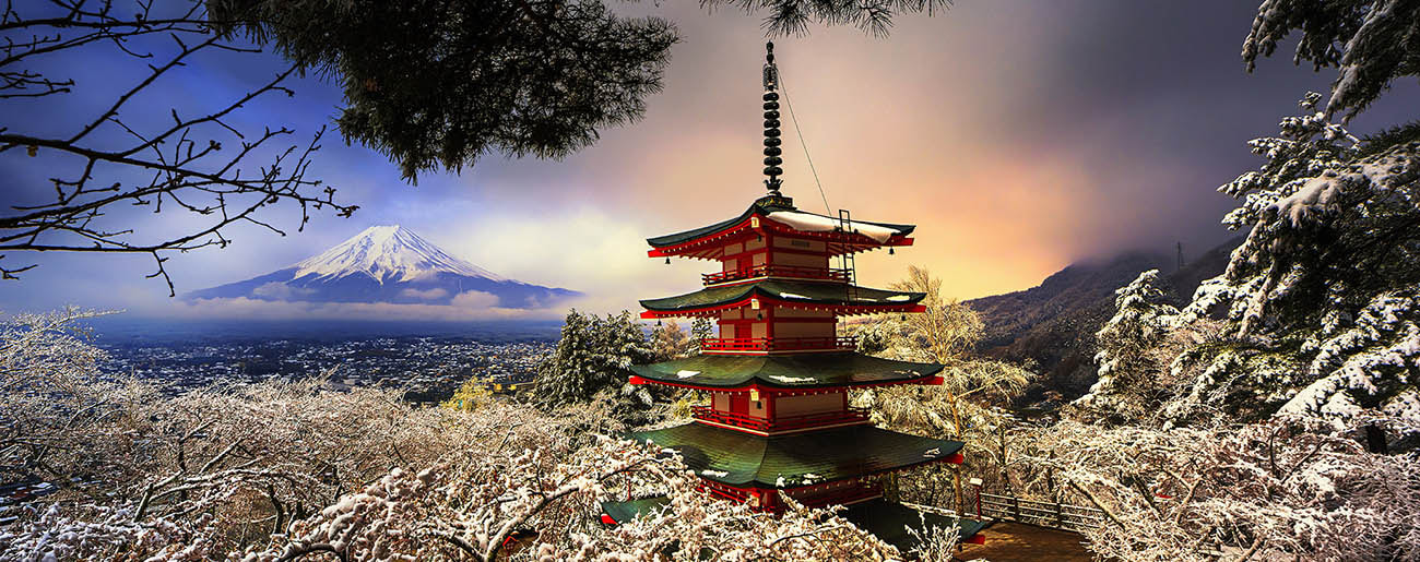 Canon EOS-1D X + Canon TS-E 24.0mm f/3.5 L II sample photo. Snowy morning pagoda photography