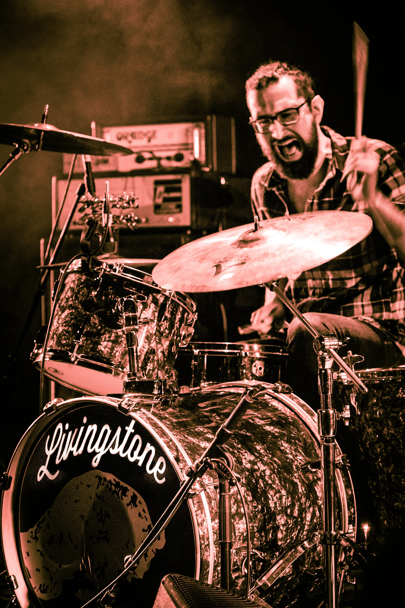Canon EF 24-70mm F4L IS USM sample photo. Livingstone concert in paris photography