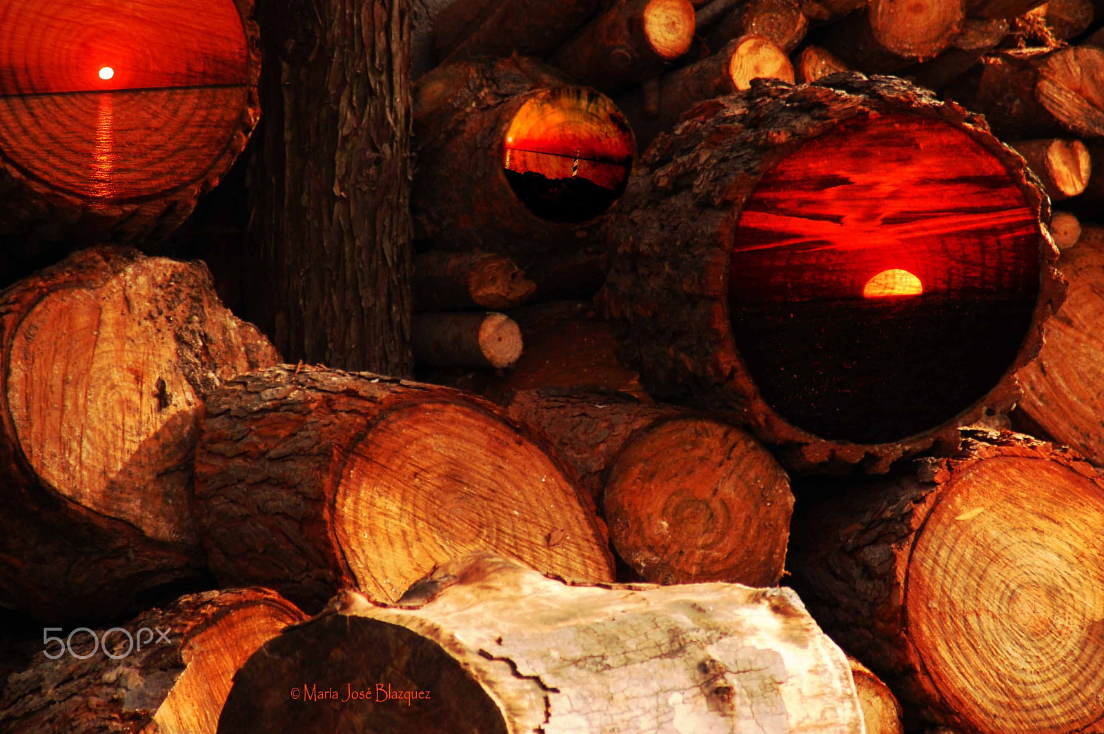 Nikon D40 sample photo. Integrated nature photography