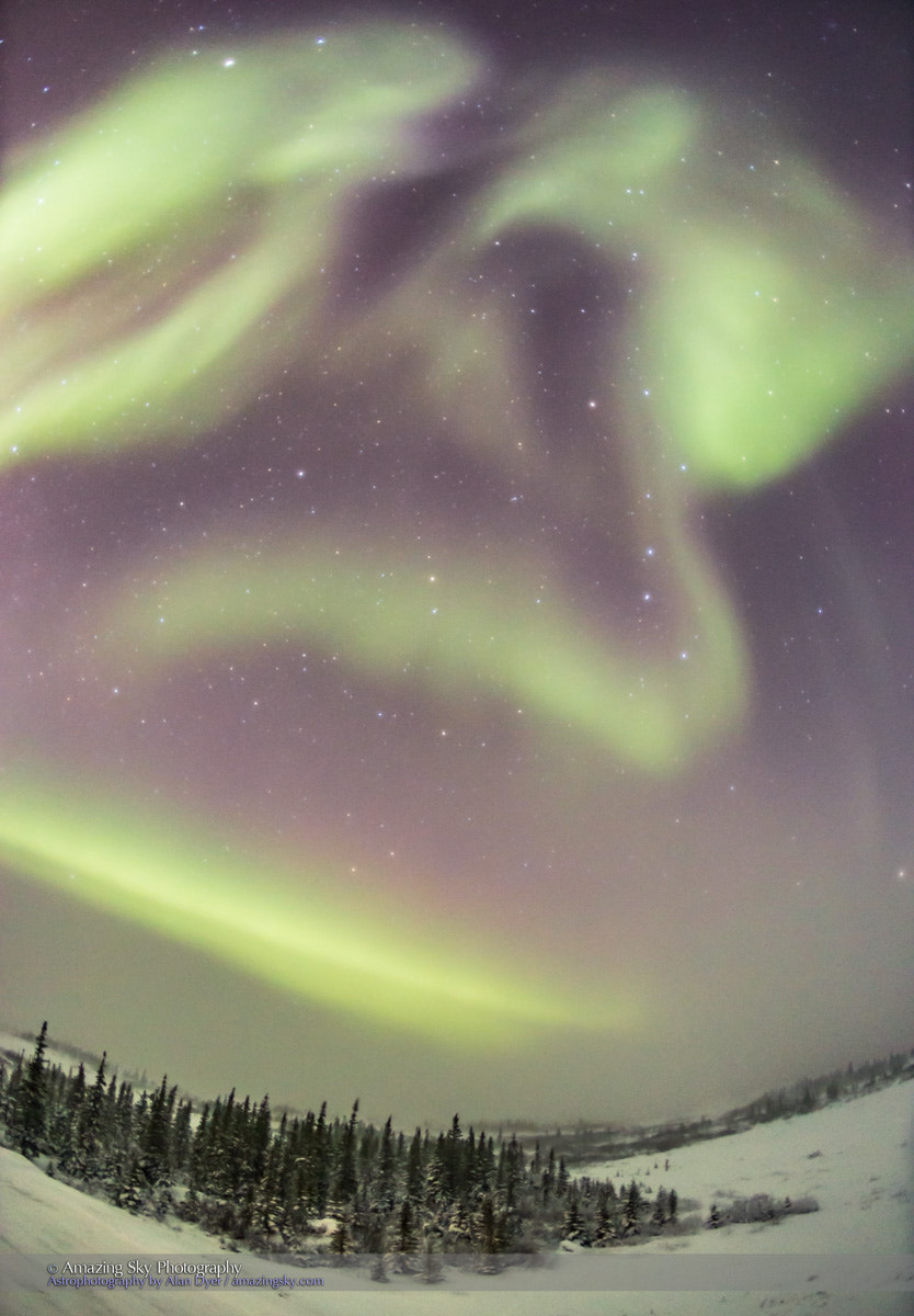 Canon EOS 6D + Canon EF 15mm F2.8 Fisheye sample photo. Aurora, big dipper and polaris photography