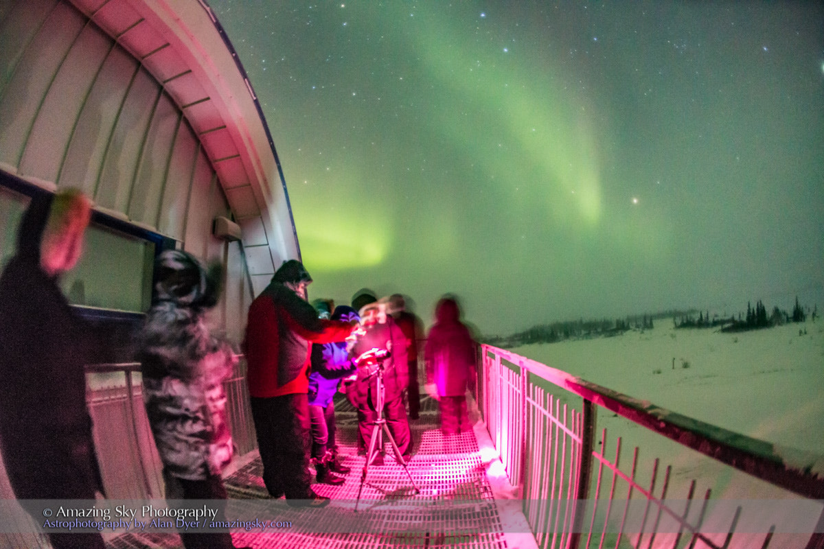 Canon EOS 6D + Canon EF 15mm F2.8 Fisheye sample photo. Arctic skies group under the aurora photography