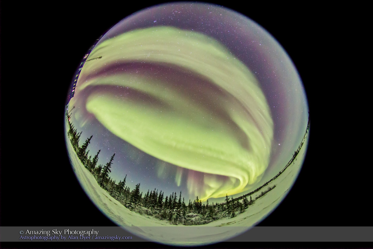 Canon EOS 6D + Sigma 8mm F3.5 EX DG Circular Fisheye sample photo. All-sky aurora from churchill (feb 5, 2016) photography