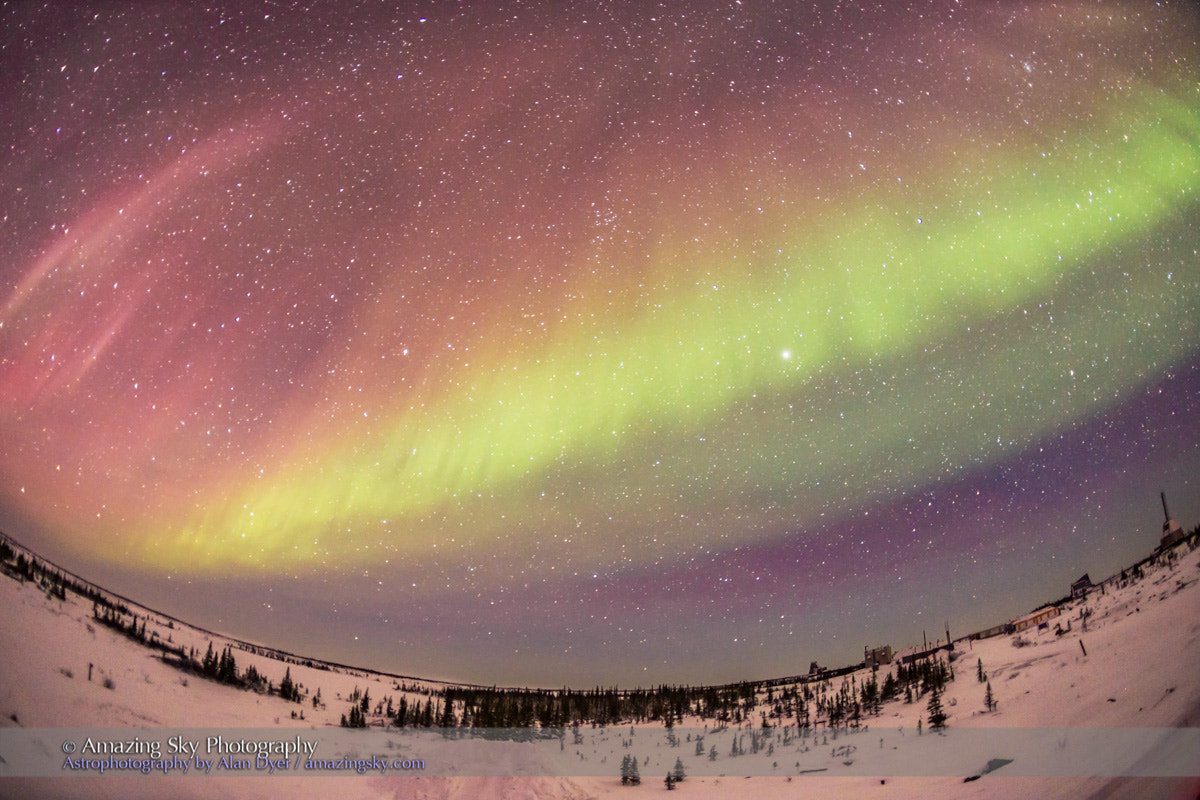 Canon EOS 6D + Canon EF 15mm F2.8 Fisheye sample photo. Red aurora over churchill rocket range photography